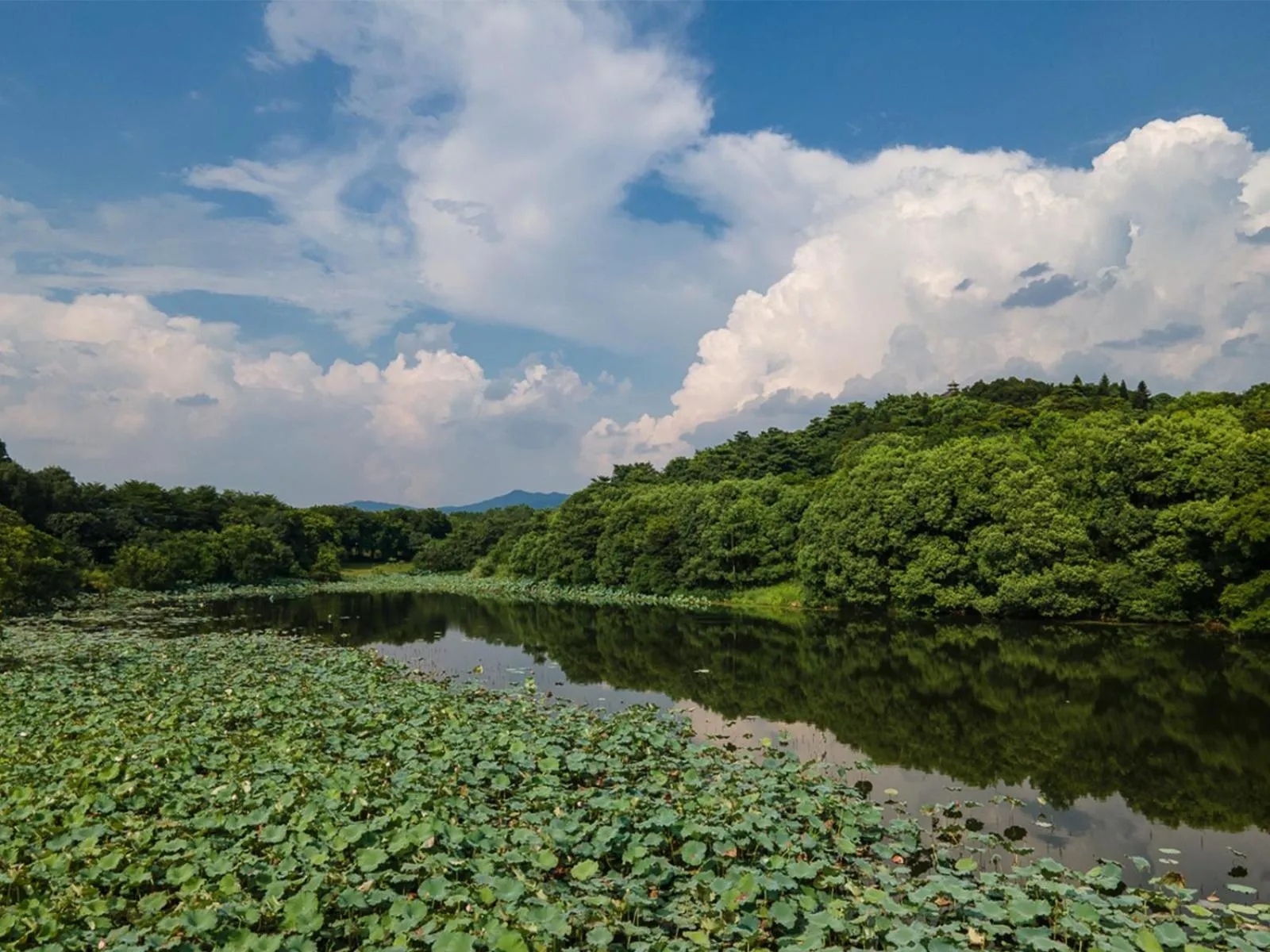 Lake view in Carp Islet Resort Fuzhou