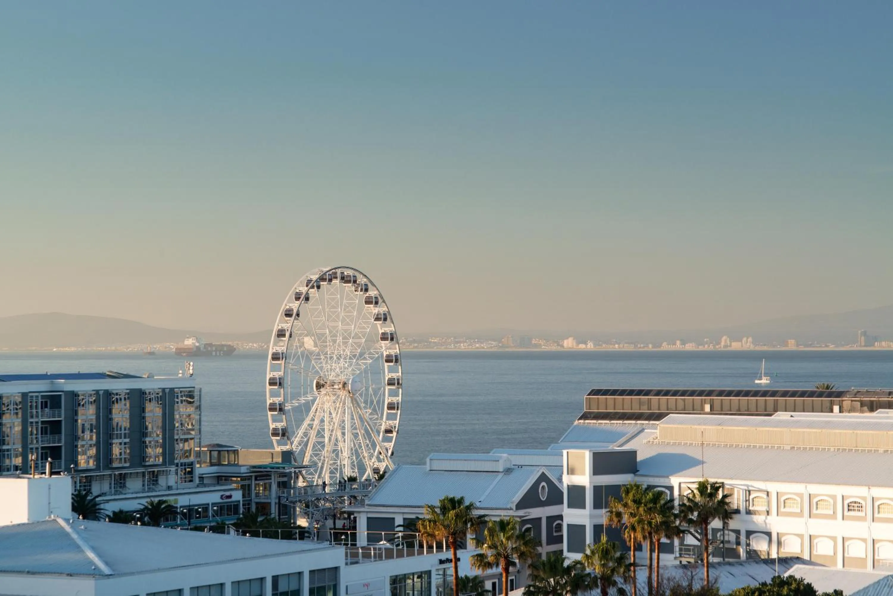 Natural landscape in The Commodore Hotel