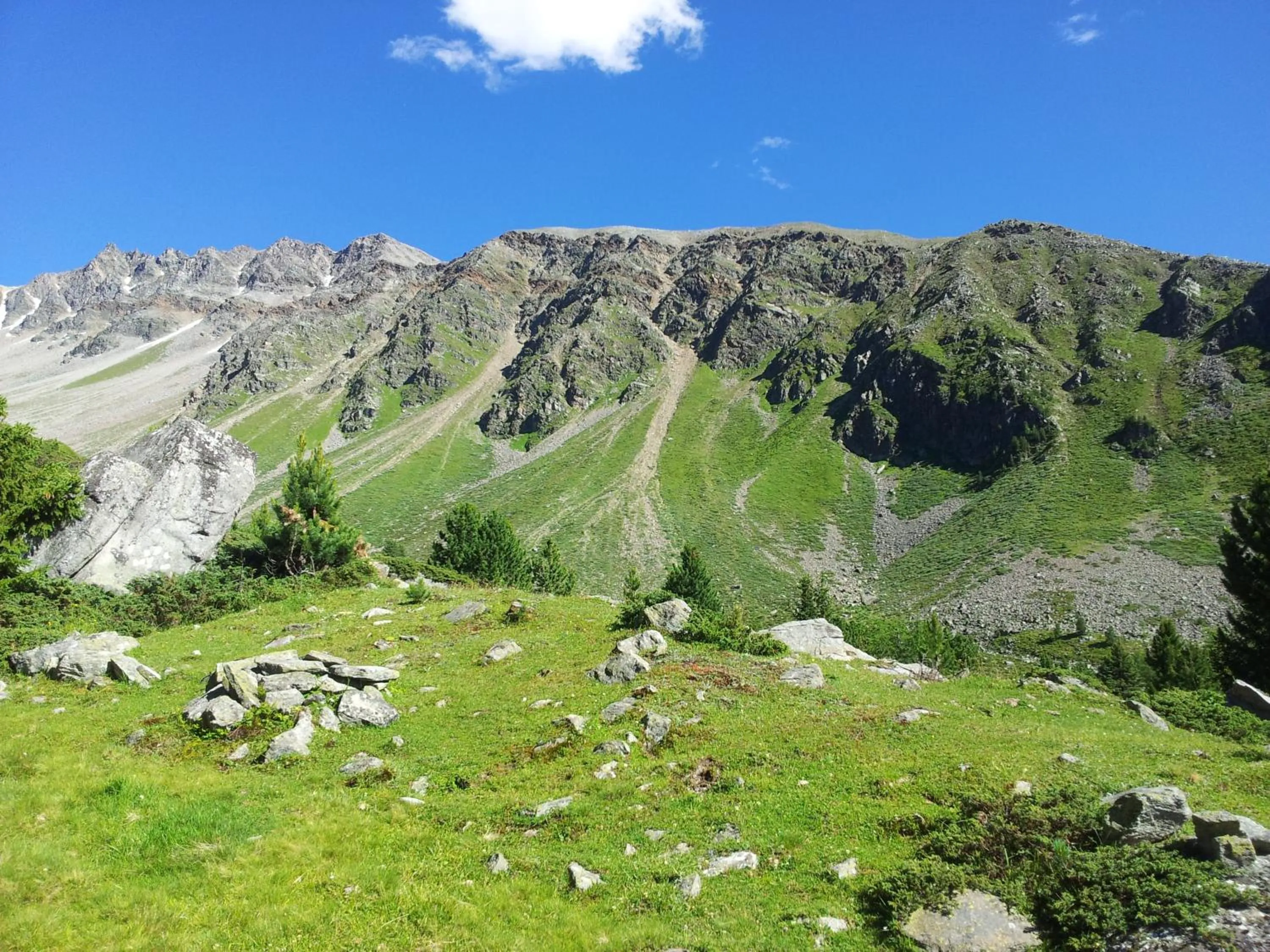 Natural landscape in Gasthof Waldruhe