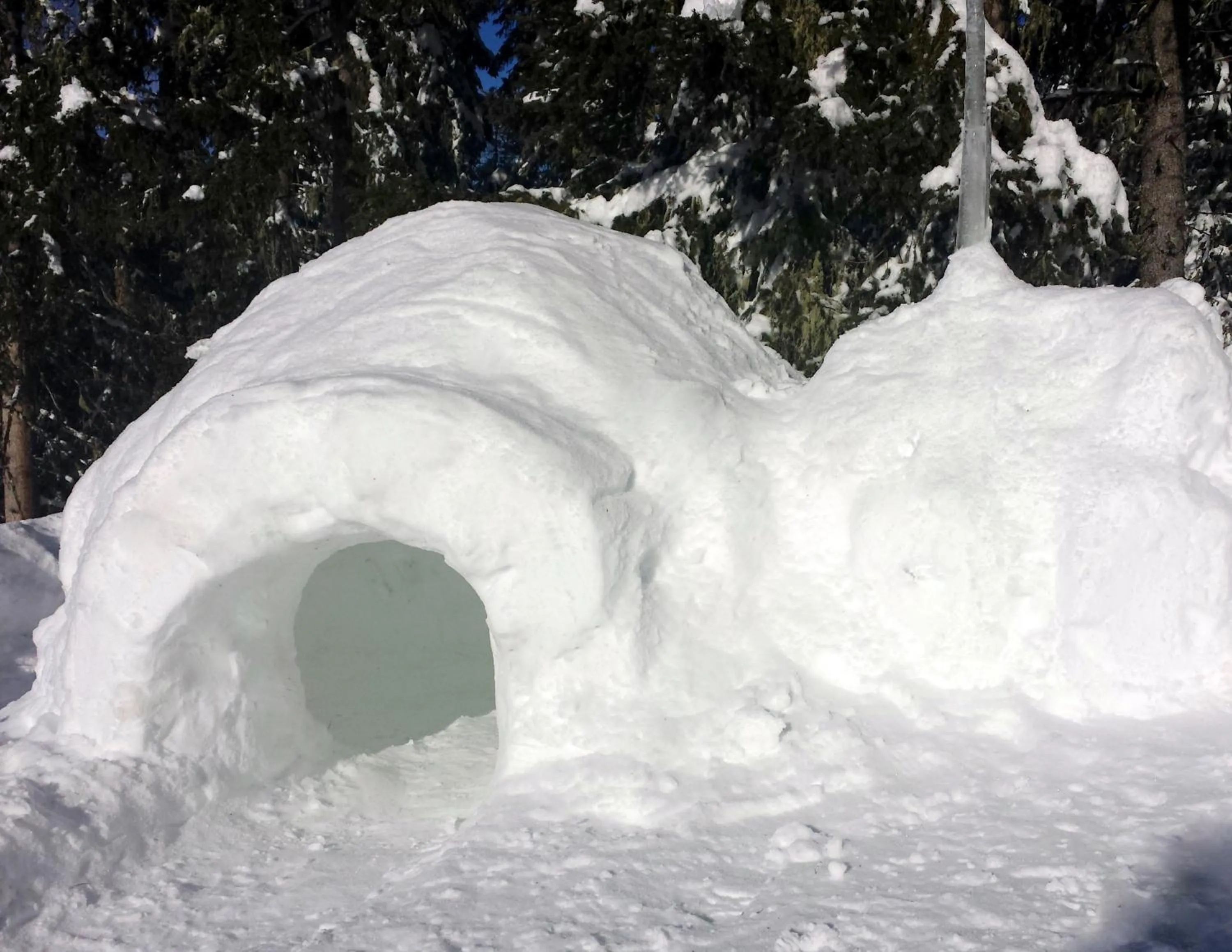 Natural landscape in Gasthof Waldruhe