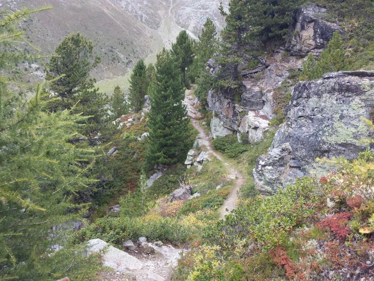 Hiking in Gasthof Waldruhe