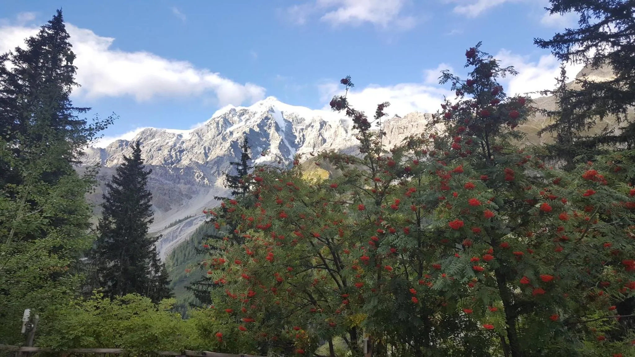 Day in Gasthof Waldruhe