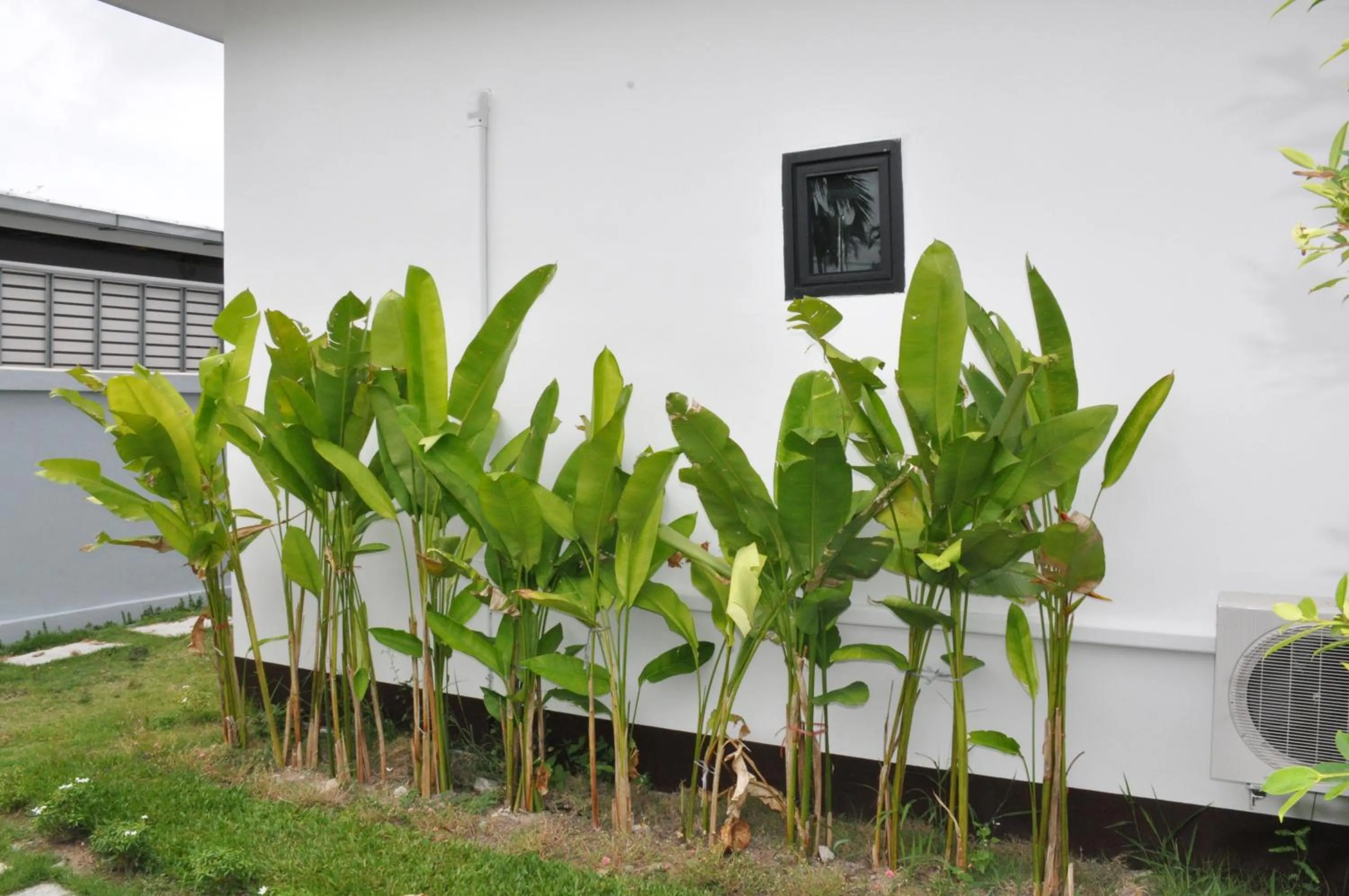 Area and facilities in Boutique Pool Villa