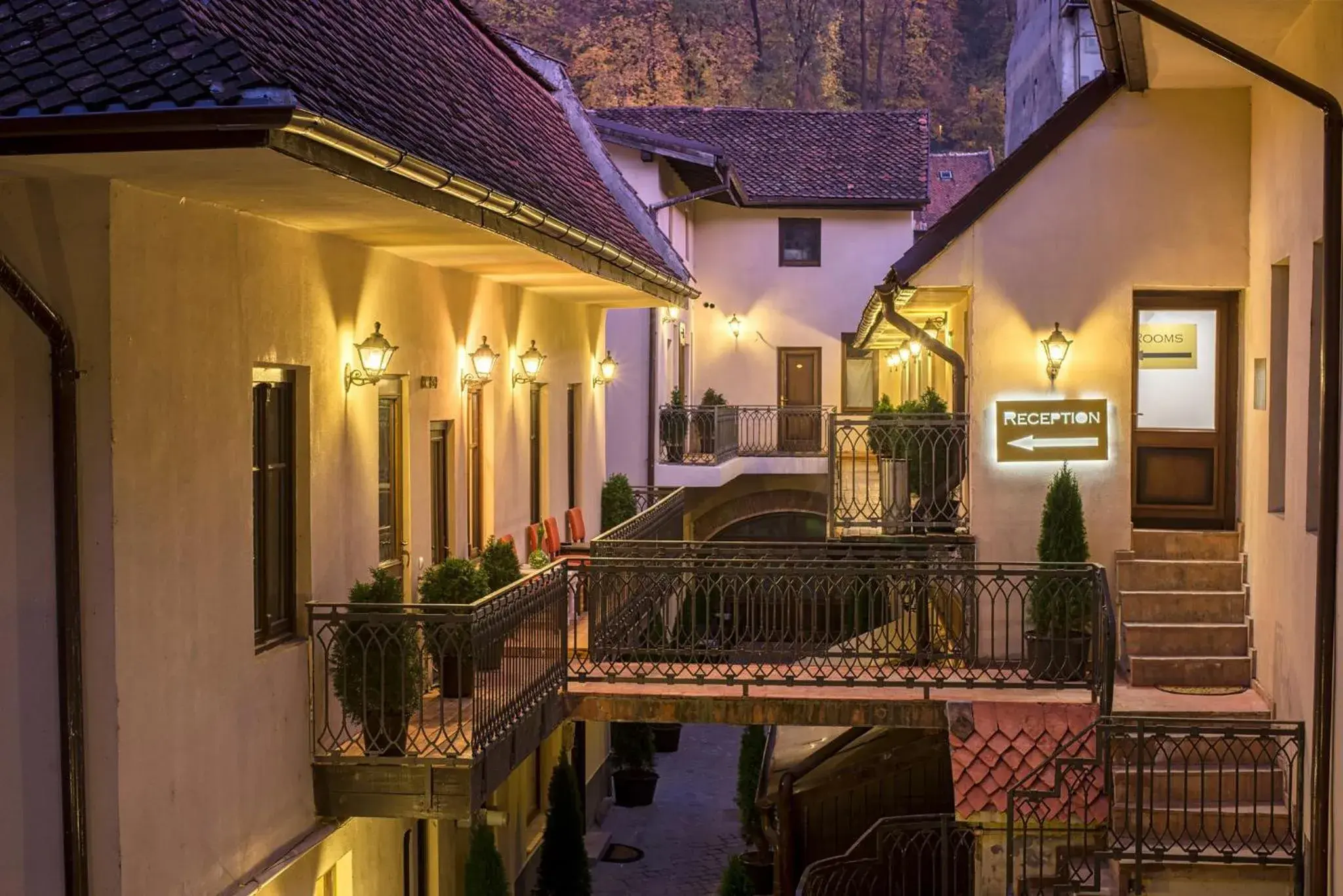 Drachenhaus Drachenhaus