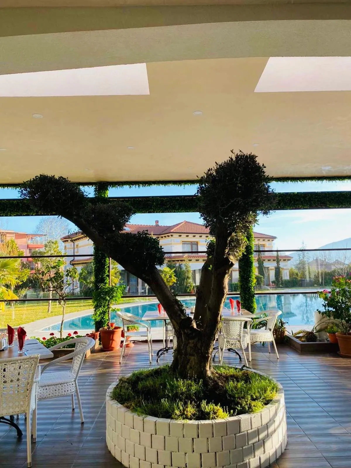 Garden in Hotel Paradise