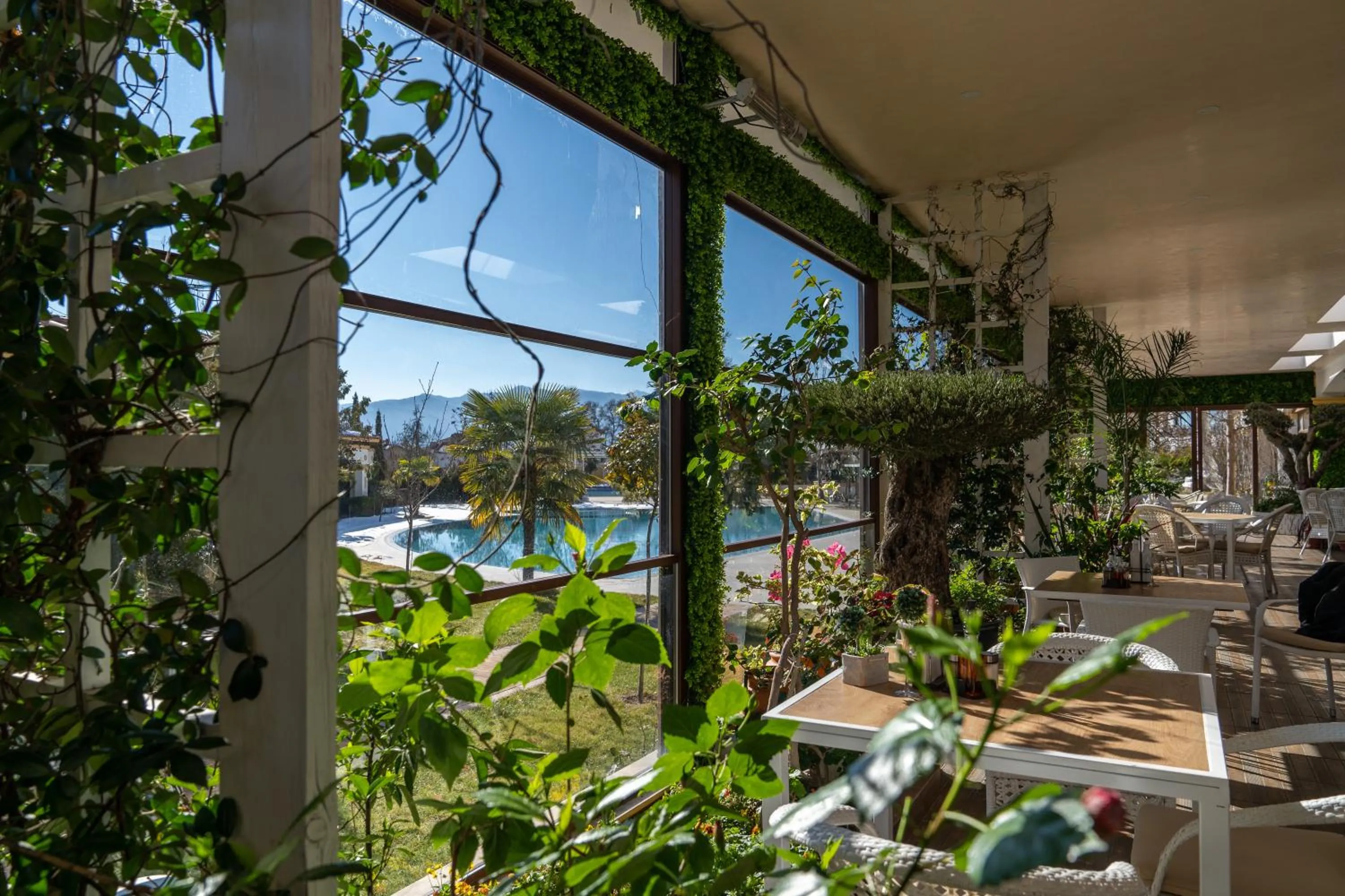 Garden in Hotel Paradise
