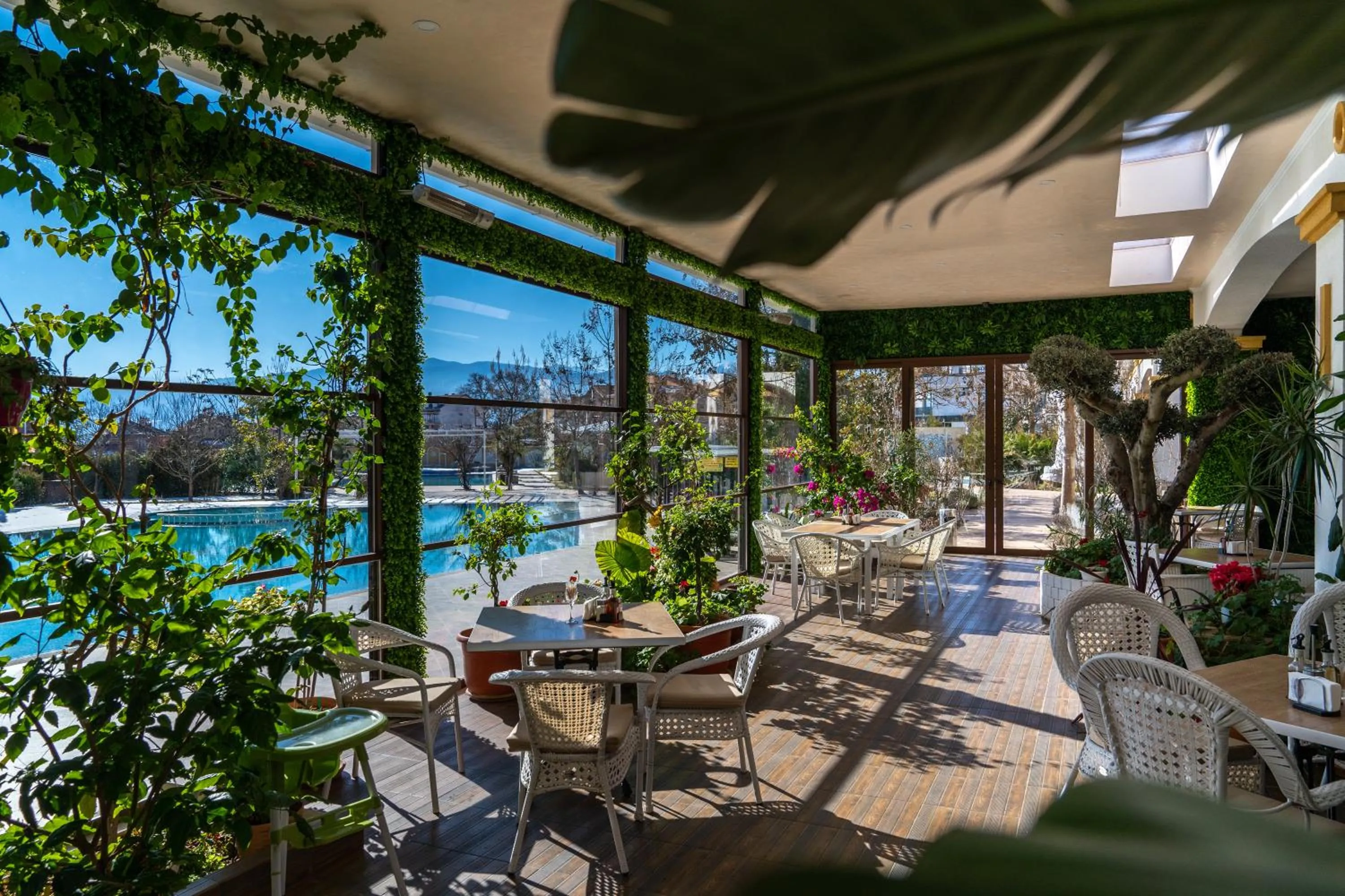 Garden in Hotel Paradise