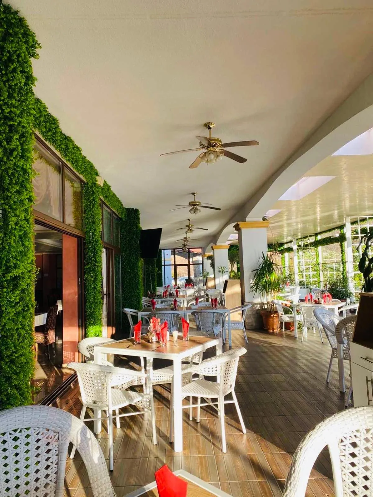 Patio in Hotel Paradise