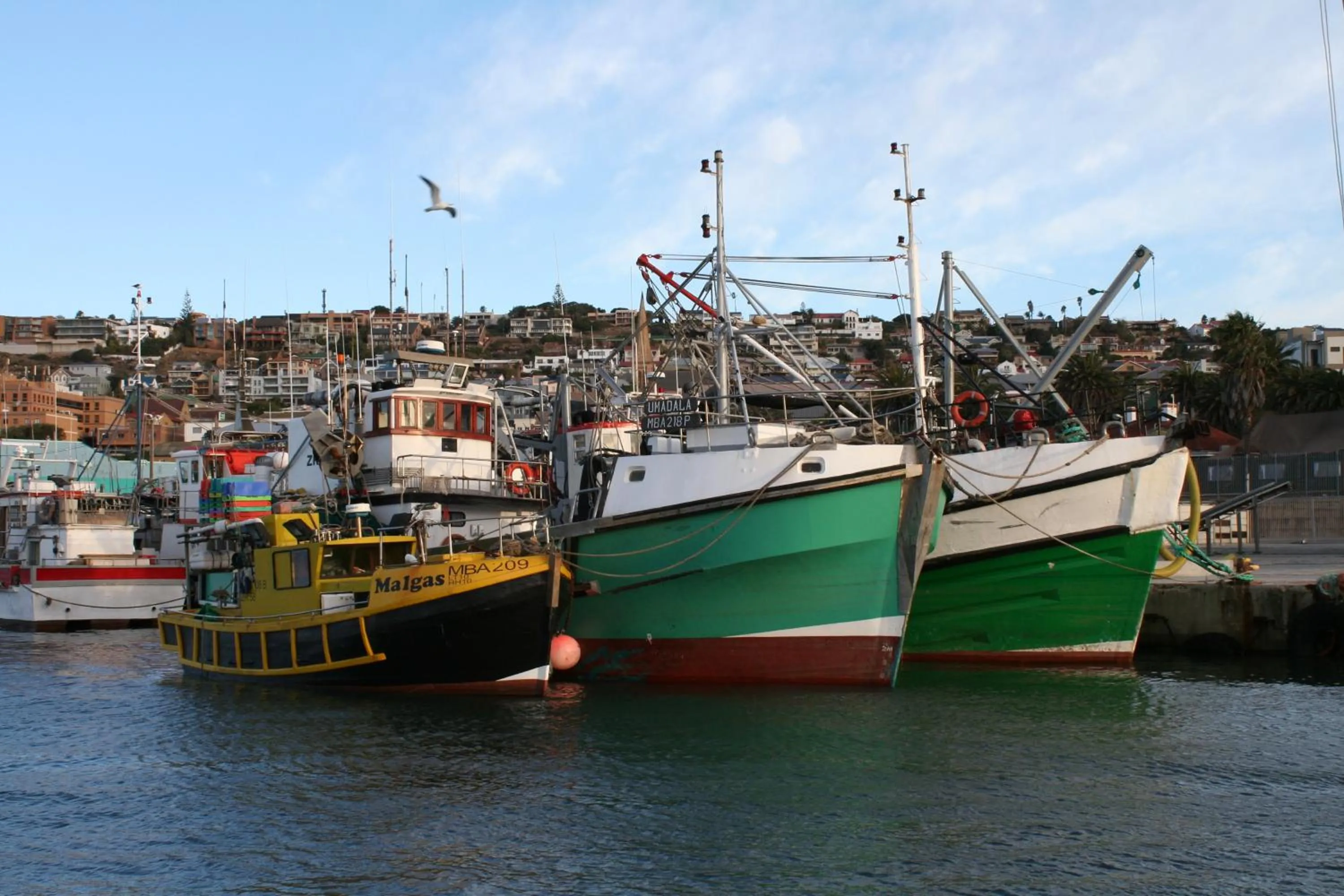 Nearby landmark in Avenues Guesthouse