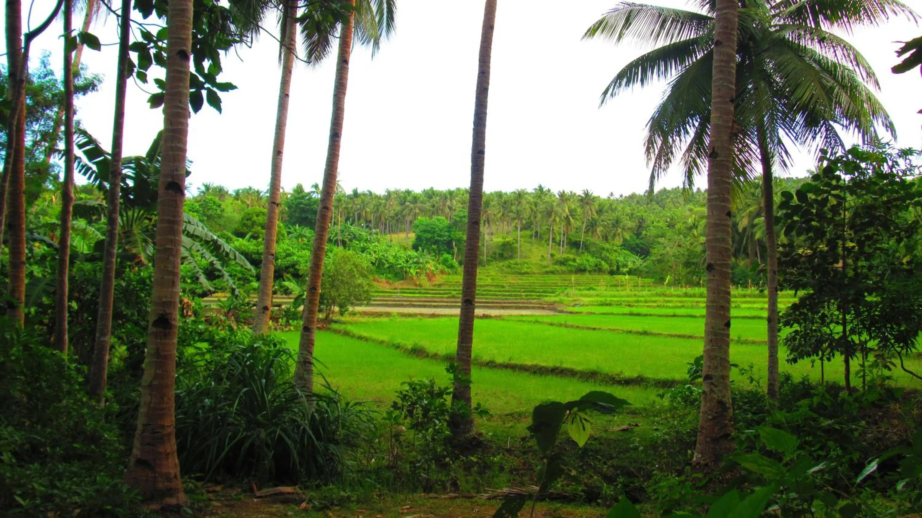 Nearby landmark in The Beach House Carabao Island