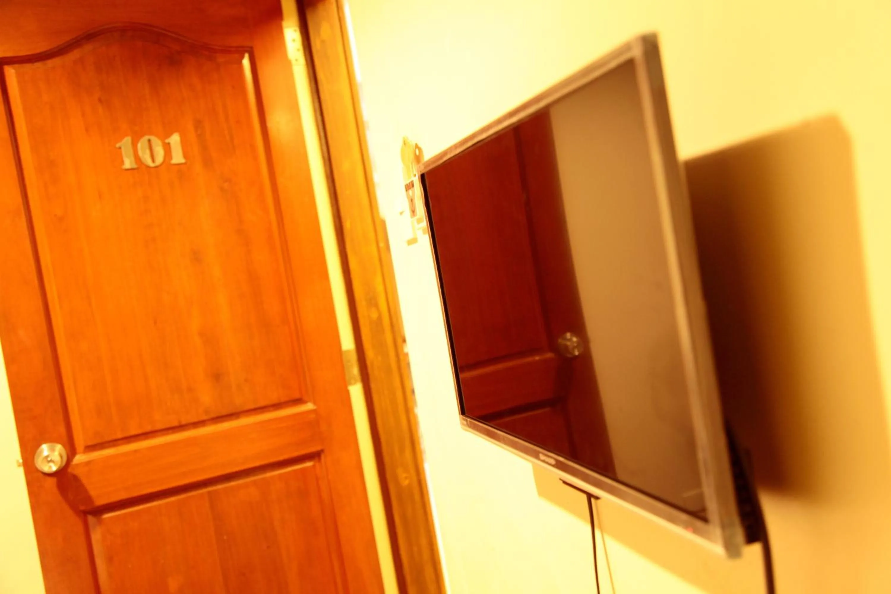 TV and multimedia in Optimum Pension House