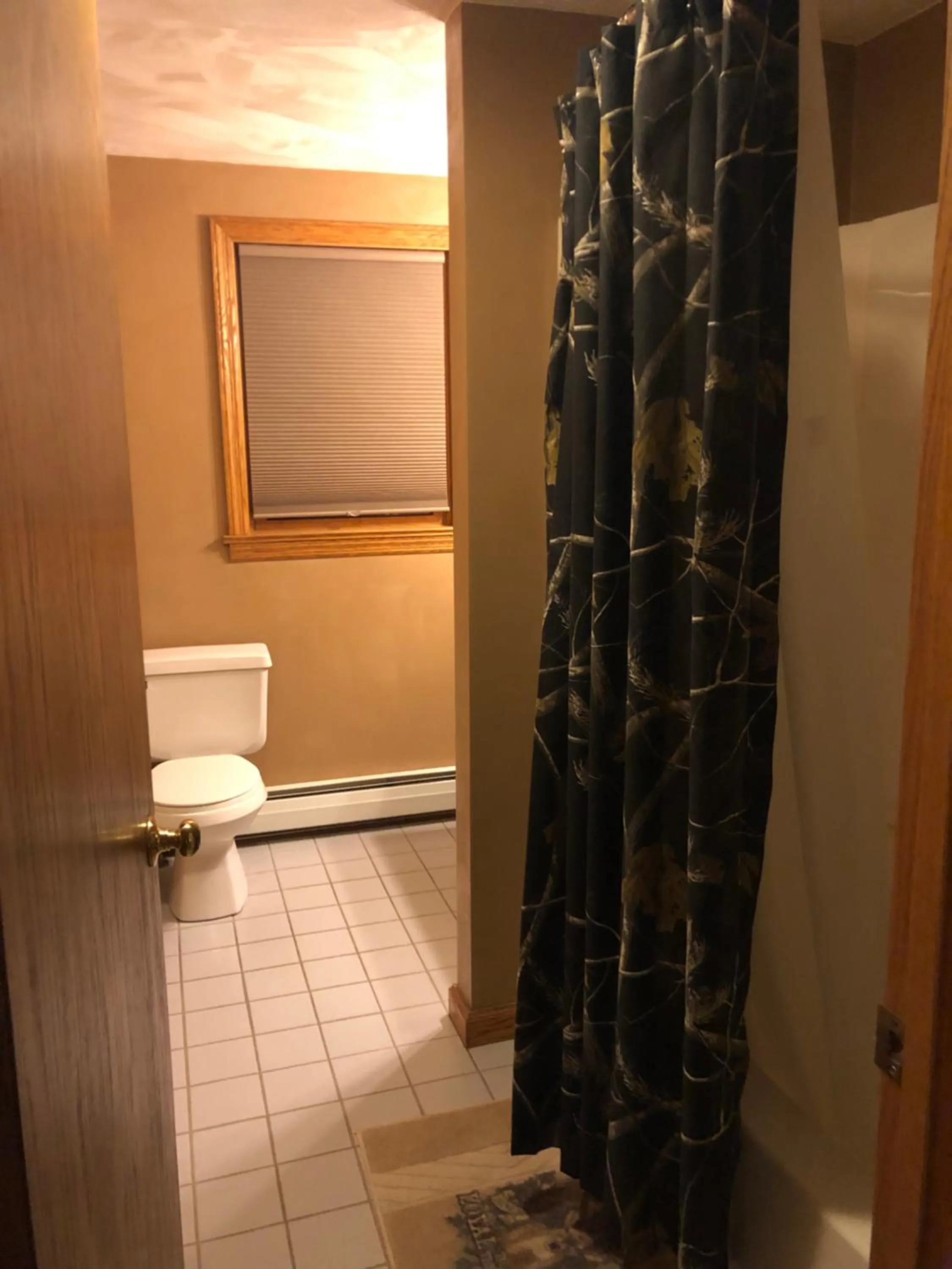 Toilet in Rough Cut Lodge