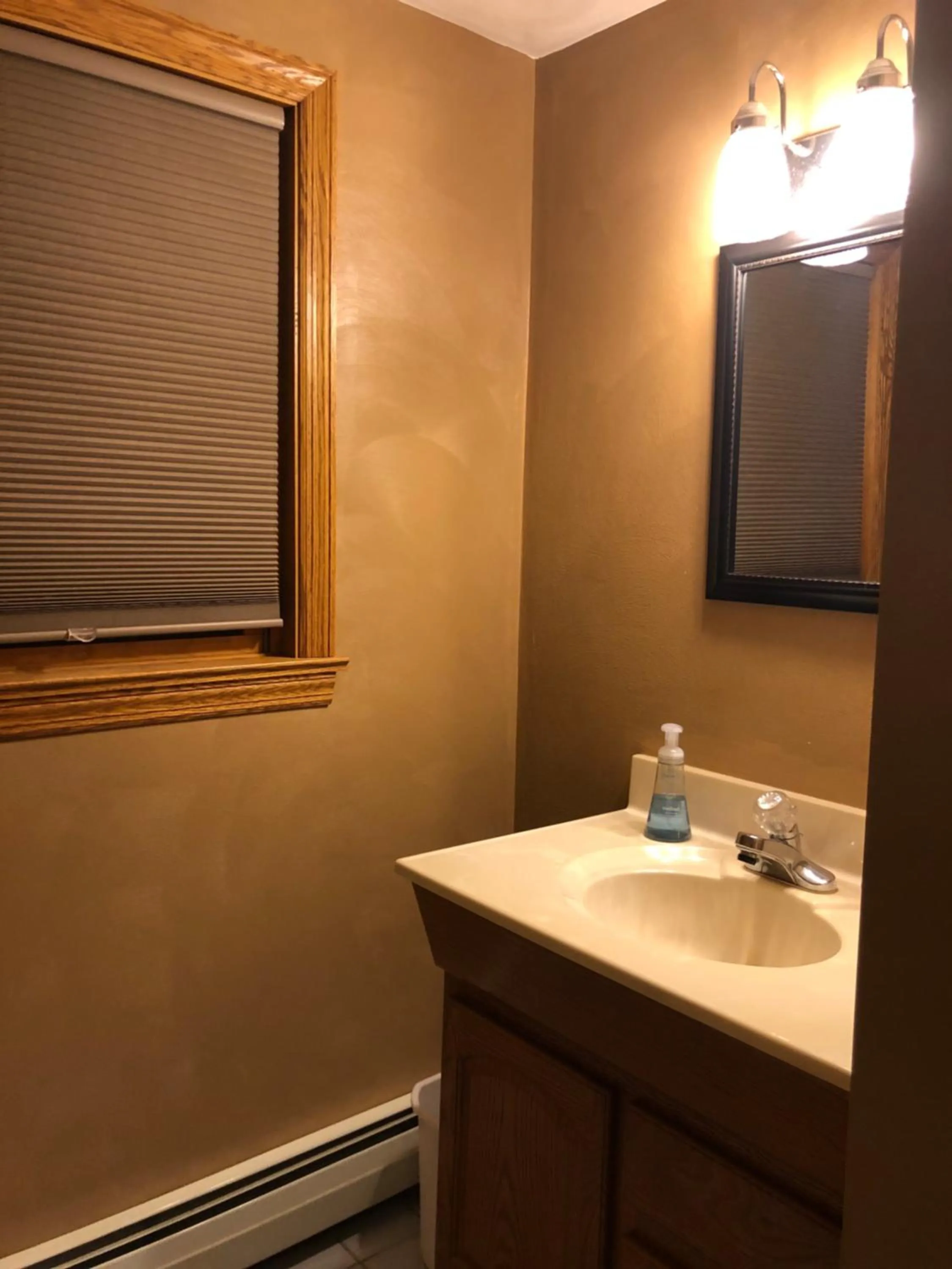 Bathroom in Rough Cut Lodge