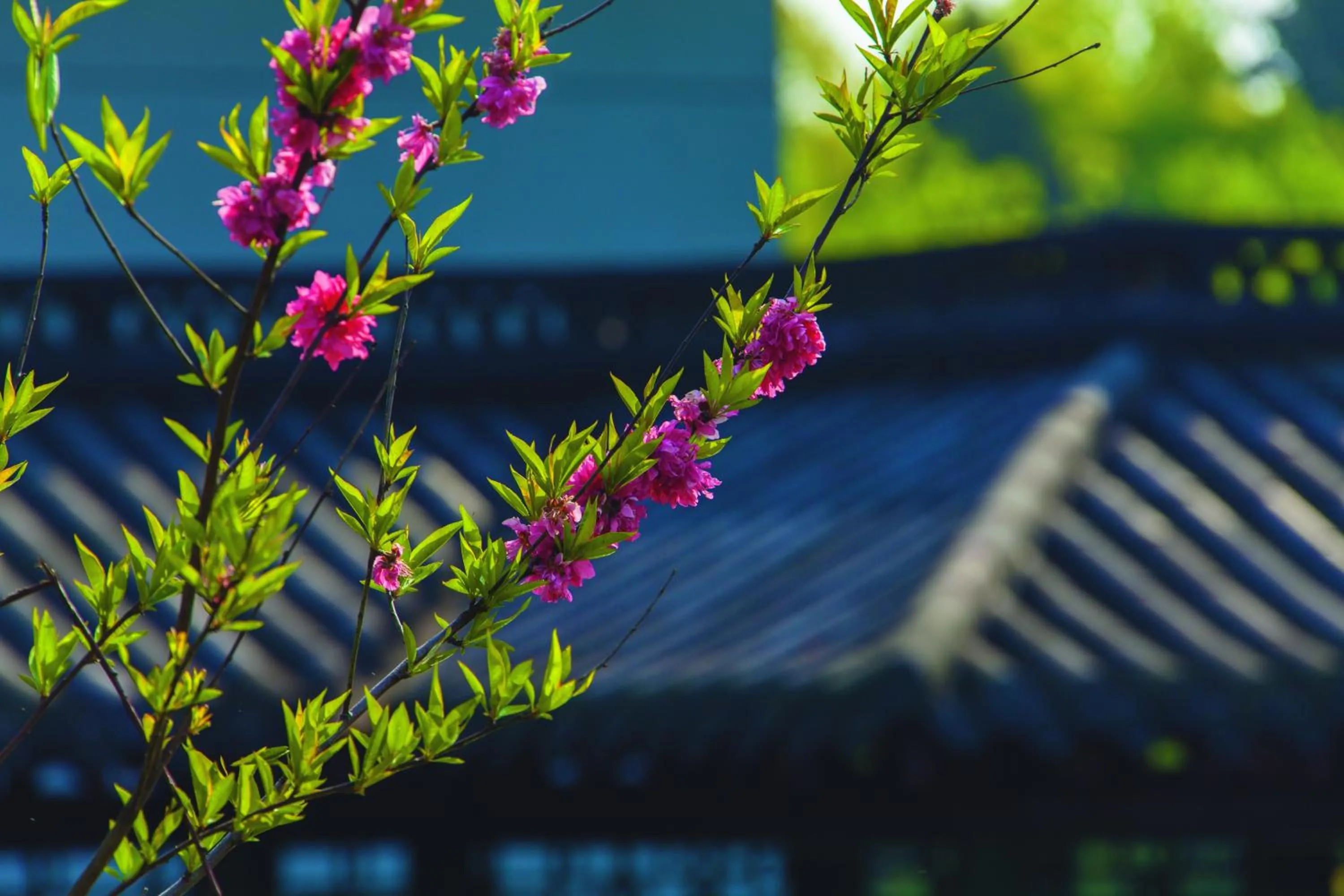 Other in West Lake State Guest House