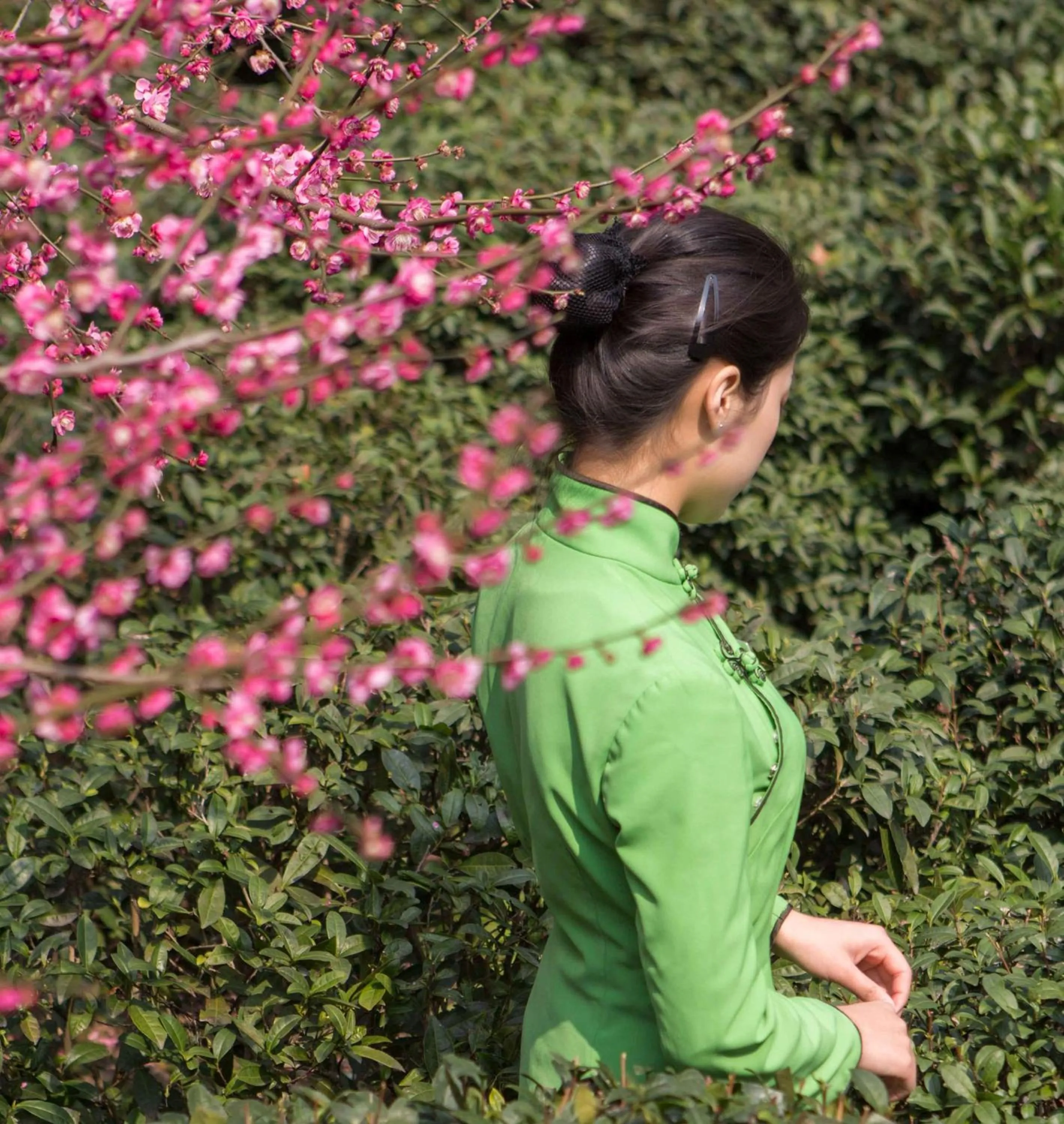 Property building in West Lake State Guest House