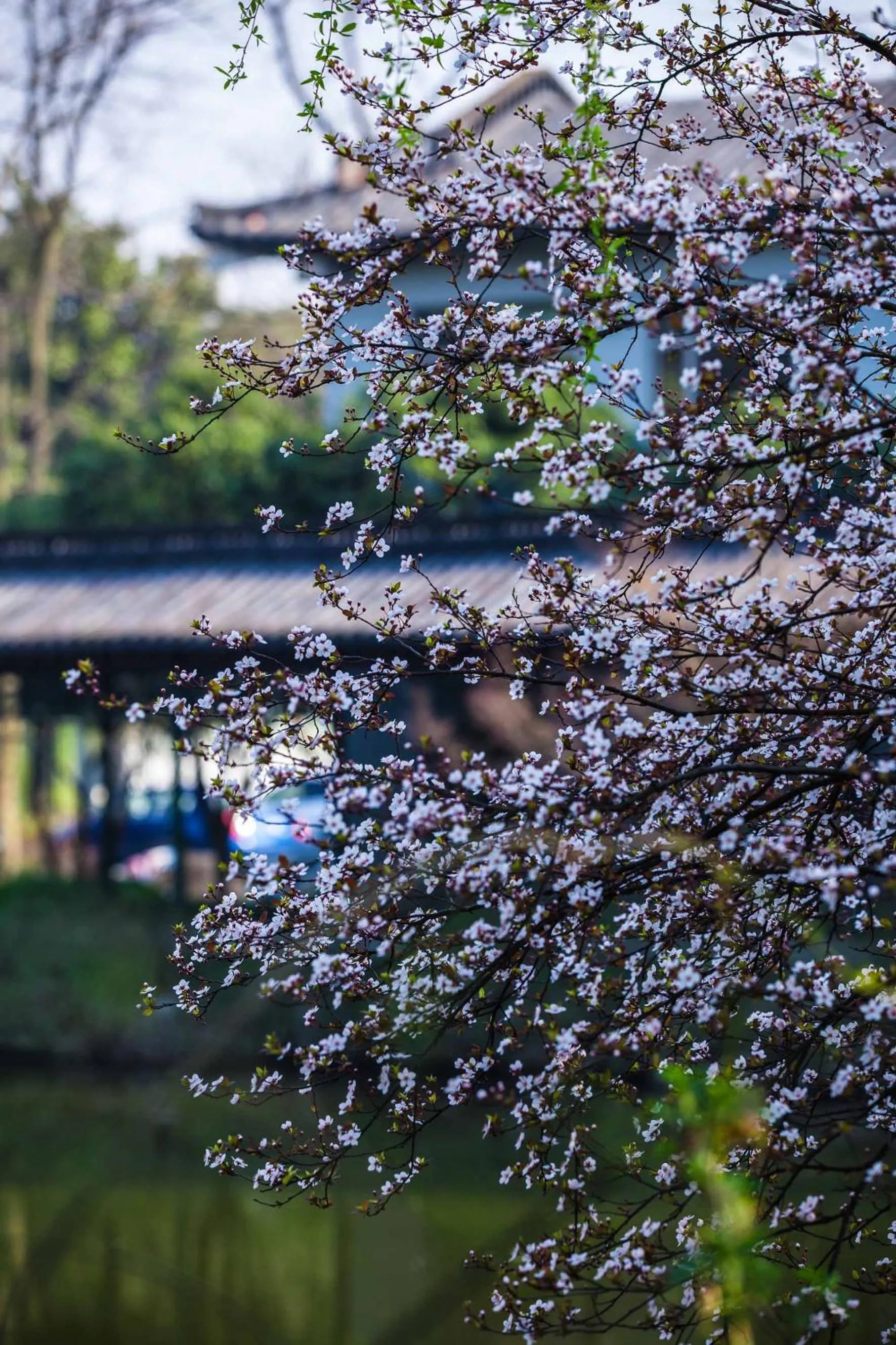 Property building in West Lake State Guest House