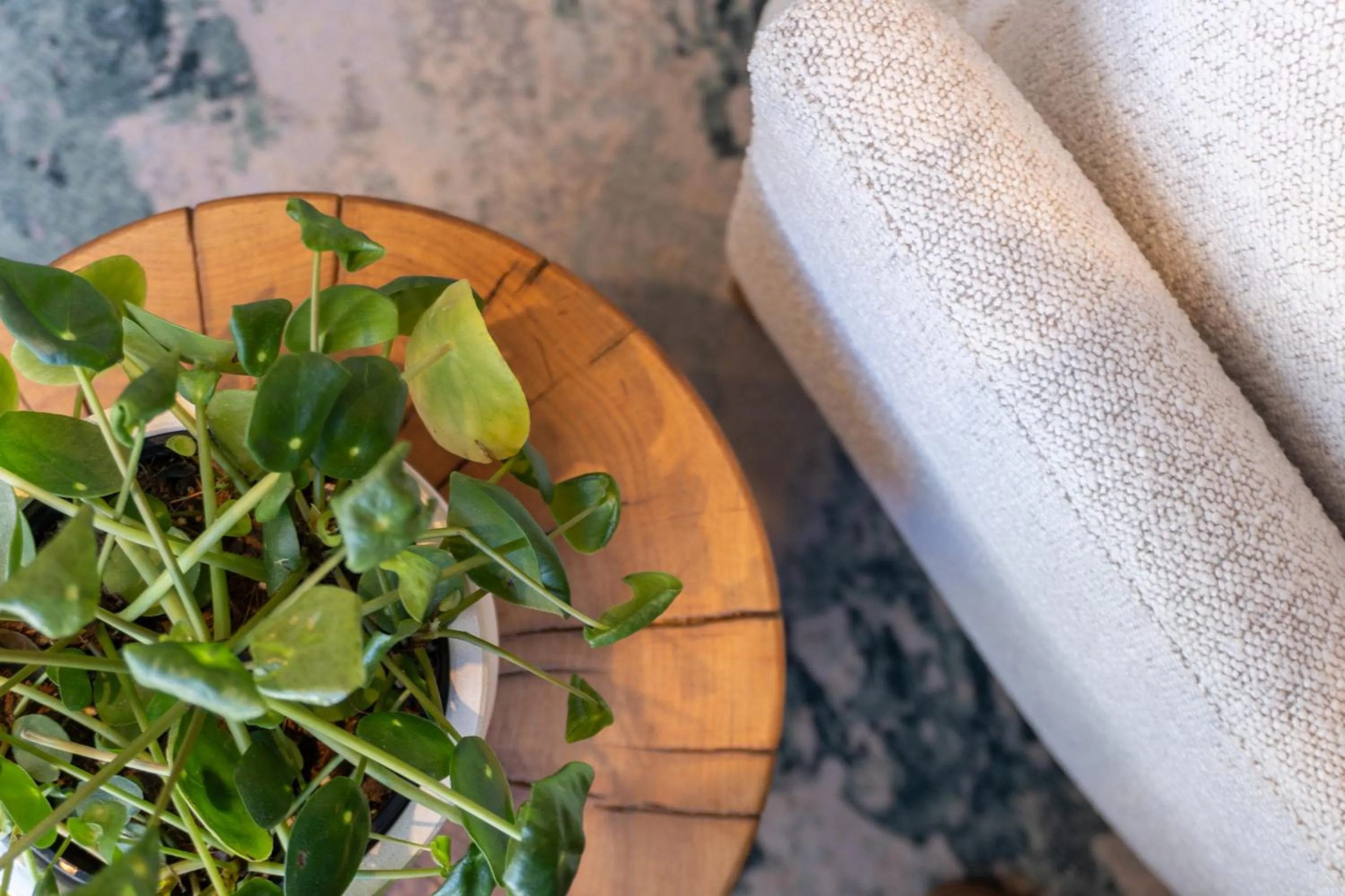 Decorative detail in President Hotel