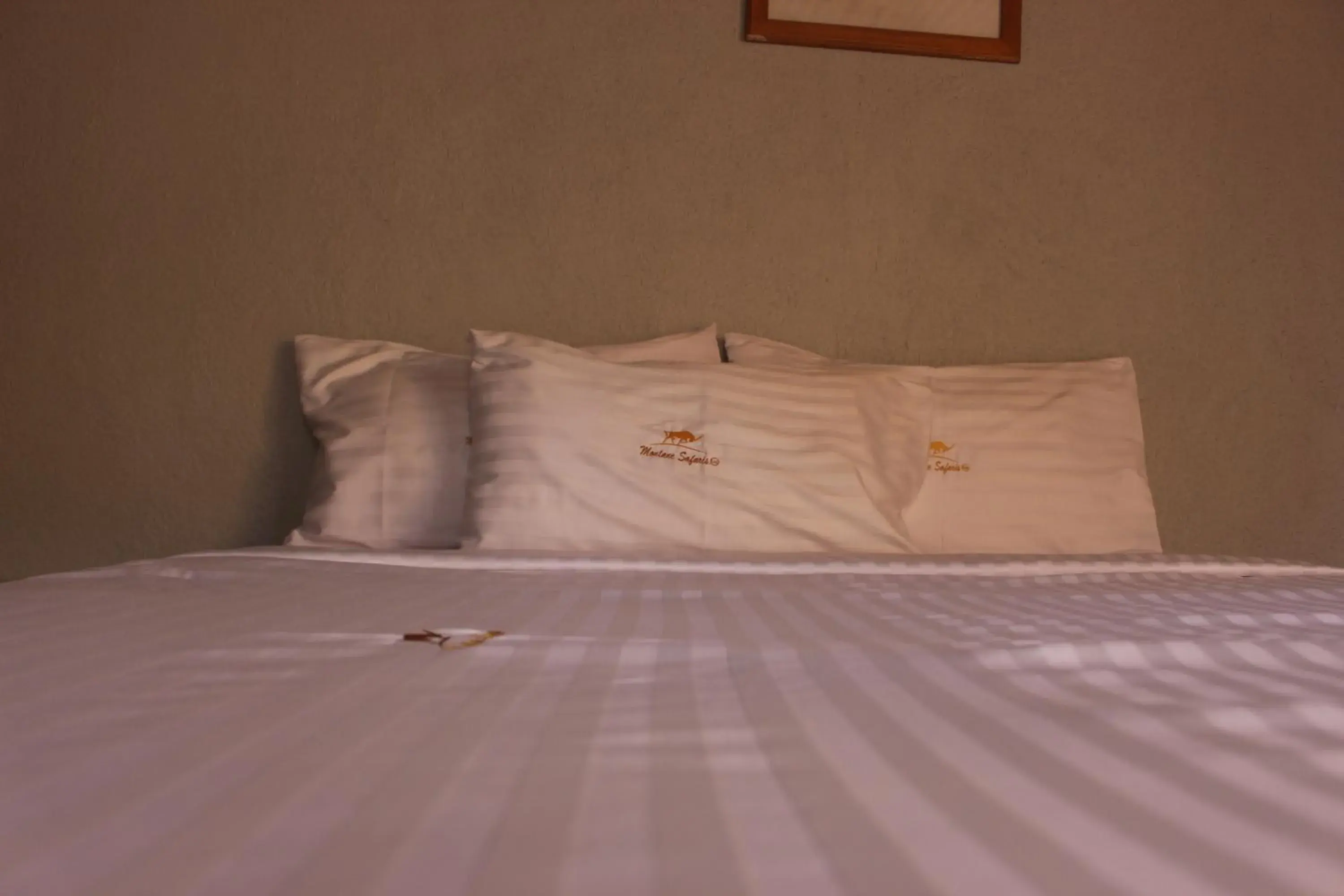 Deluxe Twin Room in Montane Safaris Hotel, Entebbe Deluxe Twin Room in Montane Safaris Hotel, Entebbe