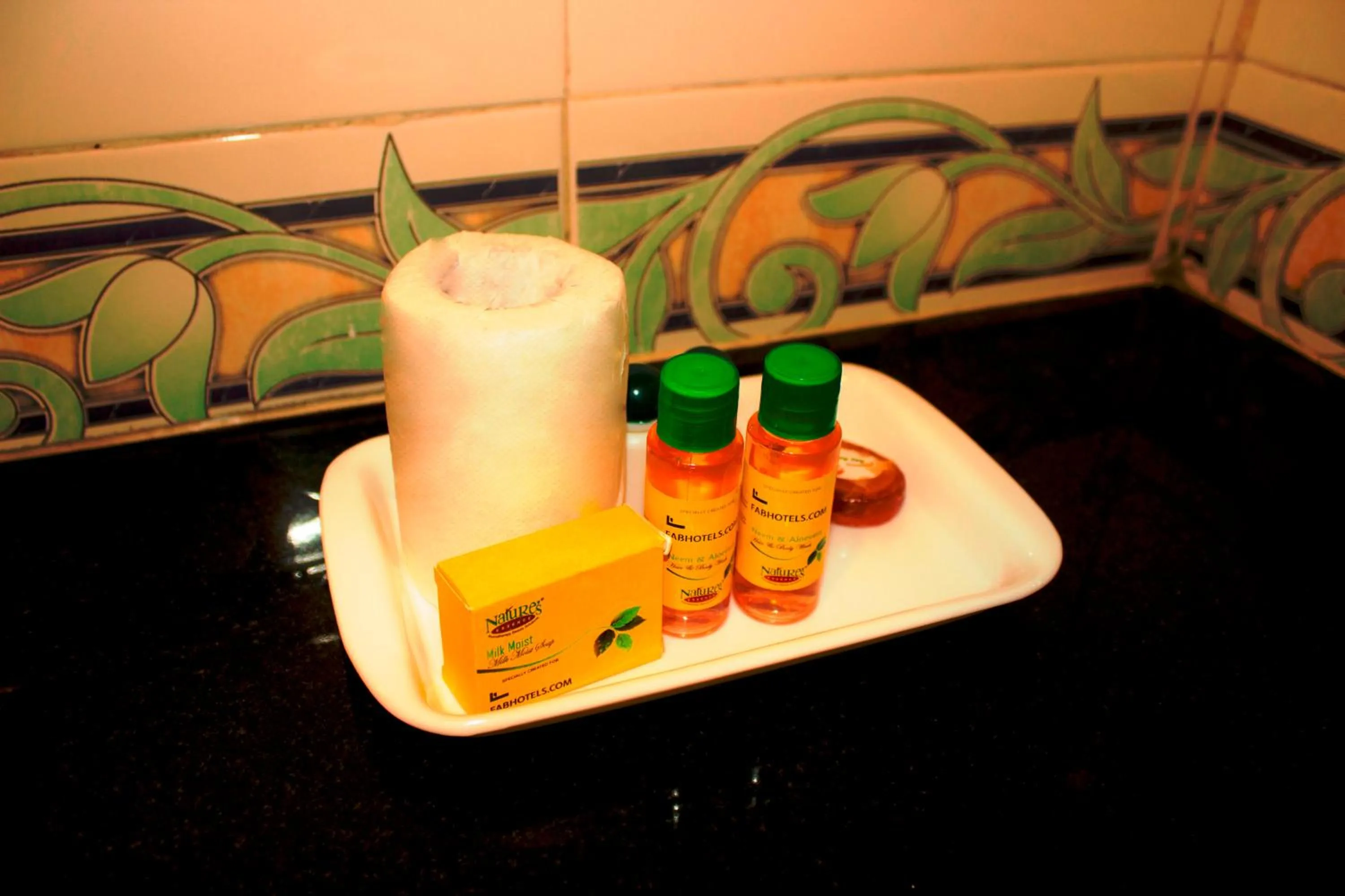 Bathroom in FabExpress Central Park