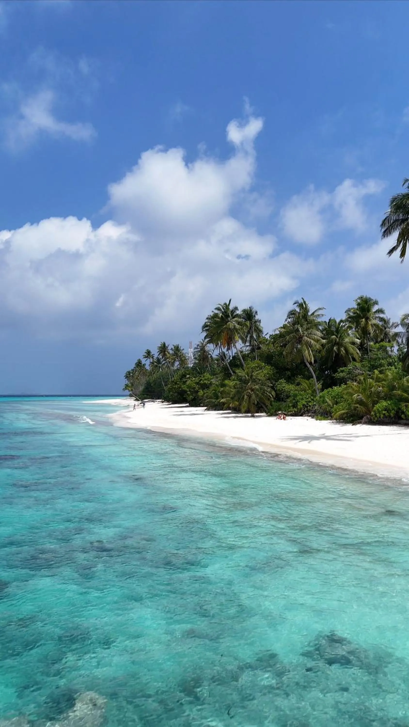 Beach in Paradise Found