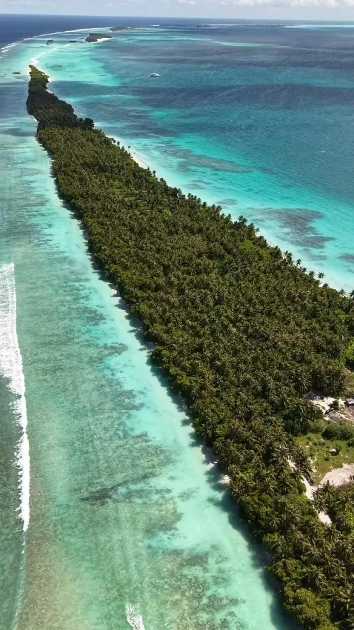 Property building in Paradise Found