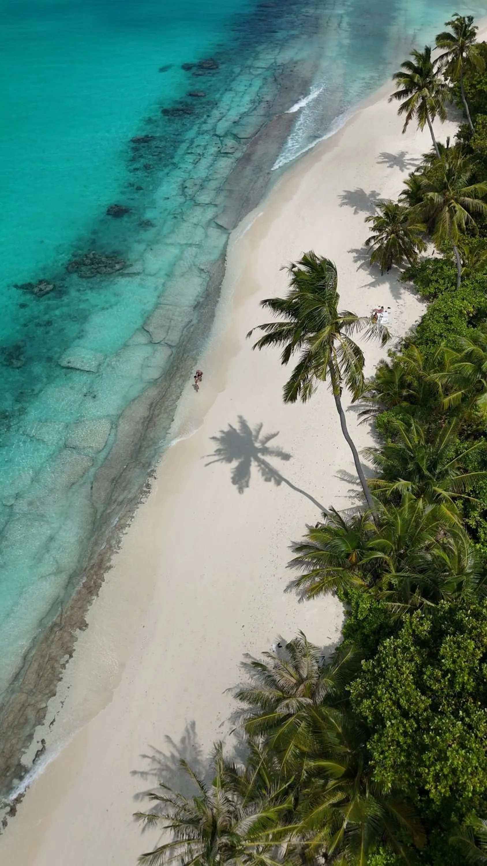 Natural landscape in Paradise Found