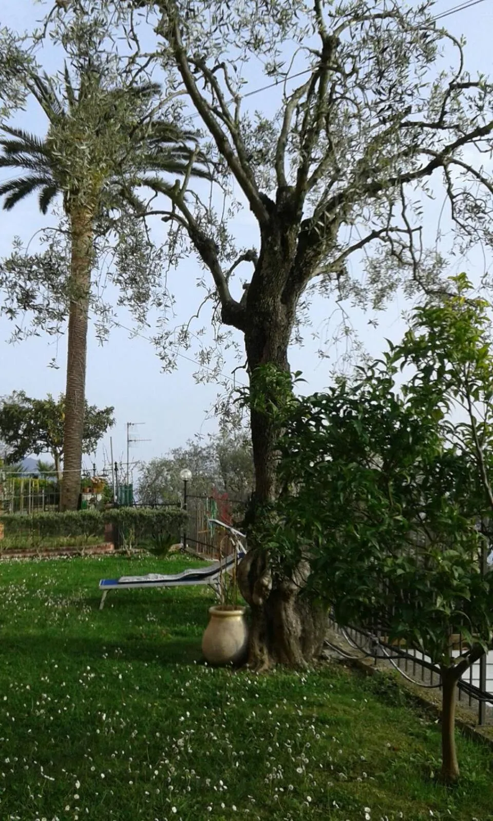 Garden in Il Gabbiano Di Pieve