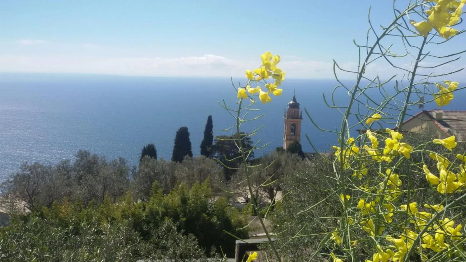 View (from property/room) in Il Gabbiano Di Pieve