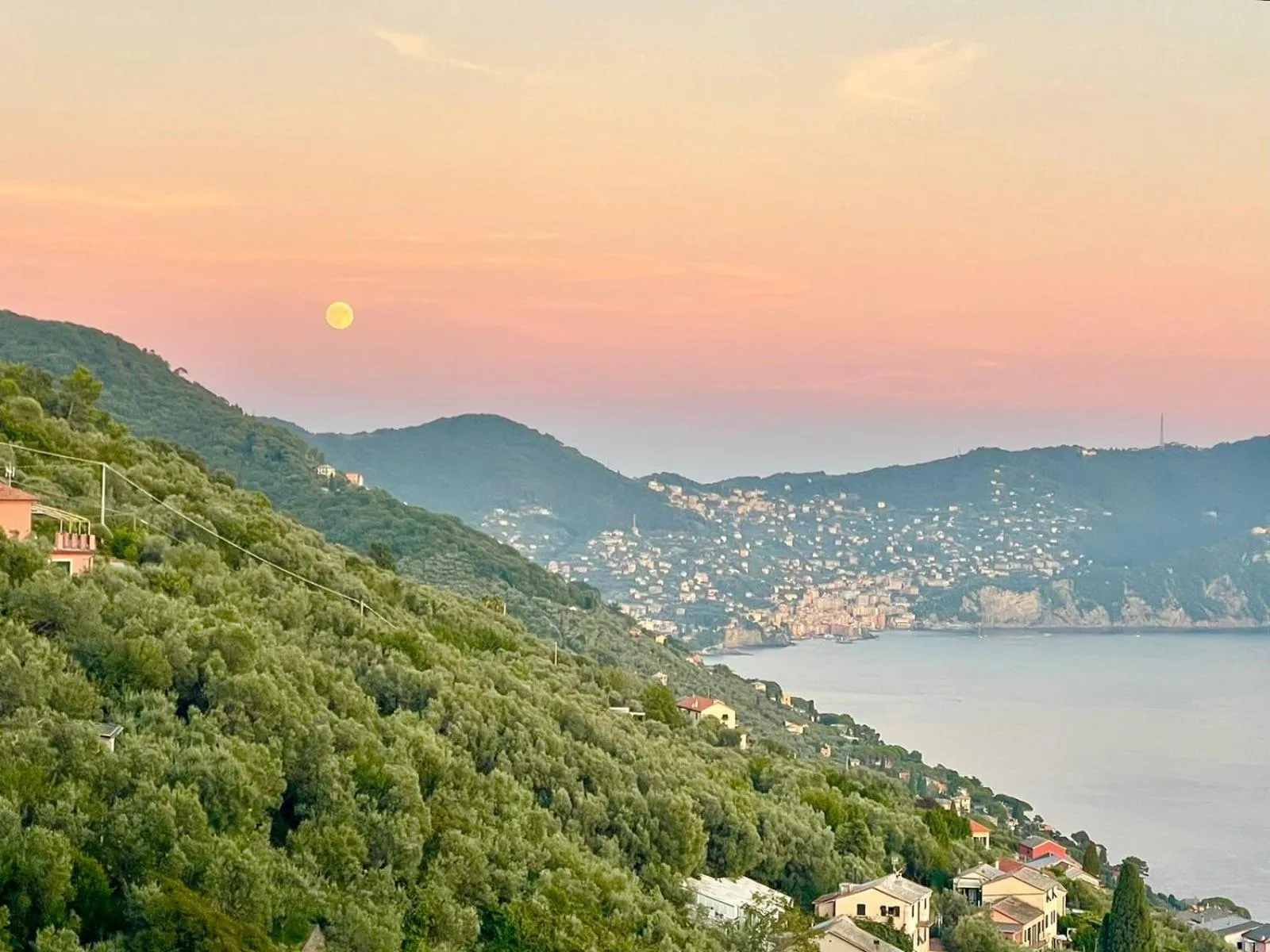 Il Gabbiano Di Pieve