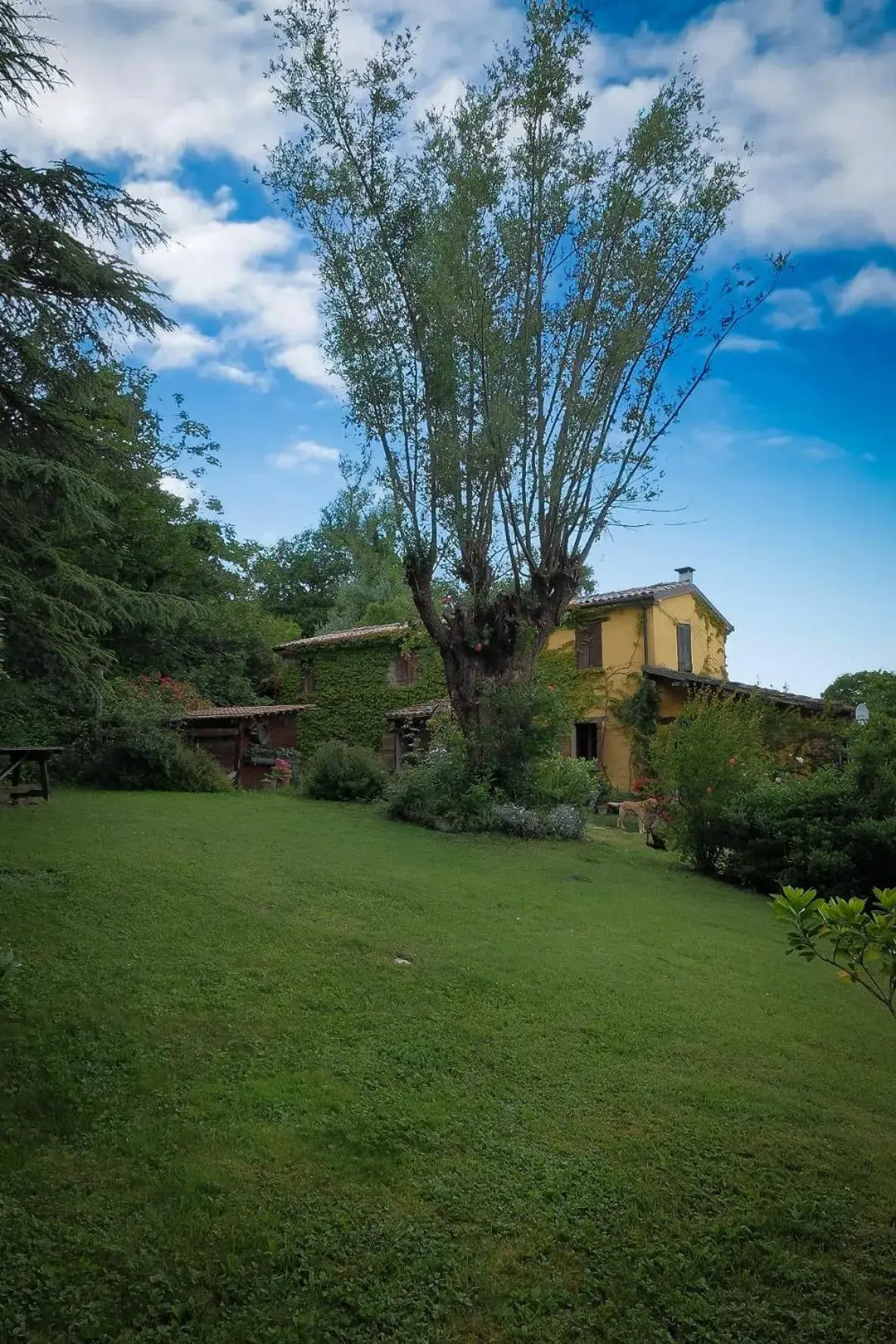 B&B Ca'del Gallo B&B Ca'del Gallo