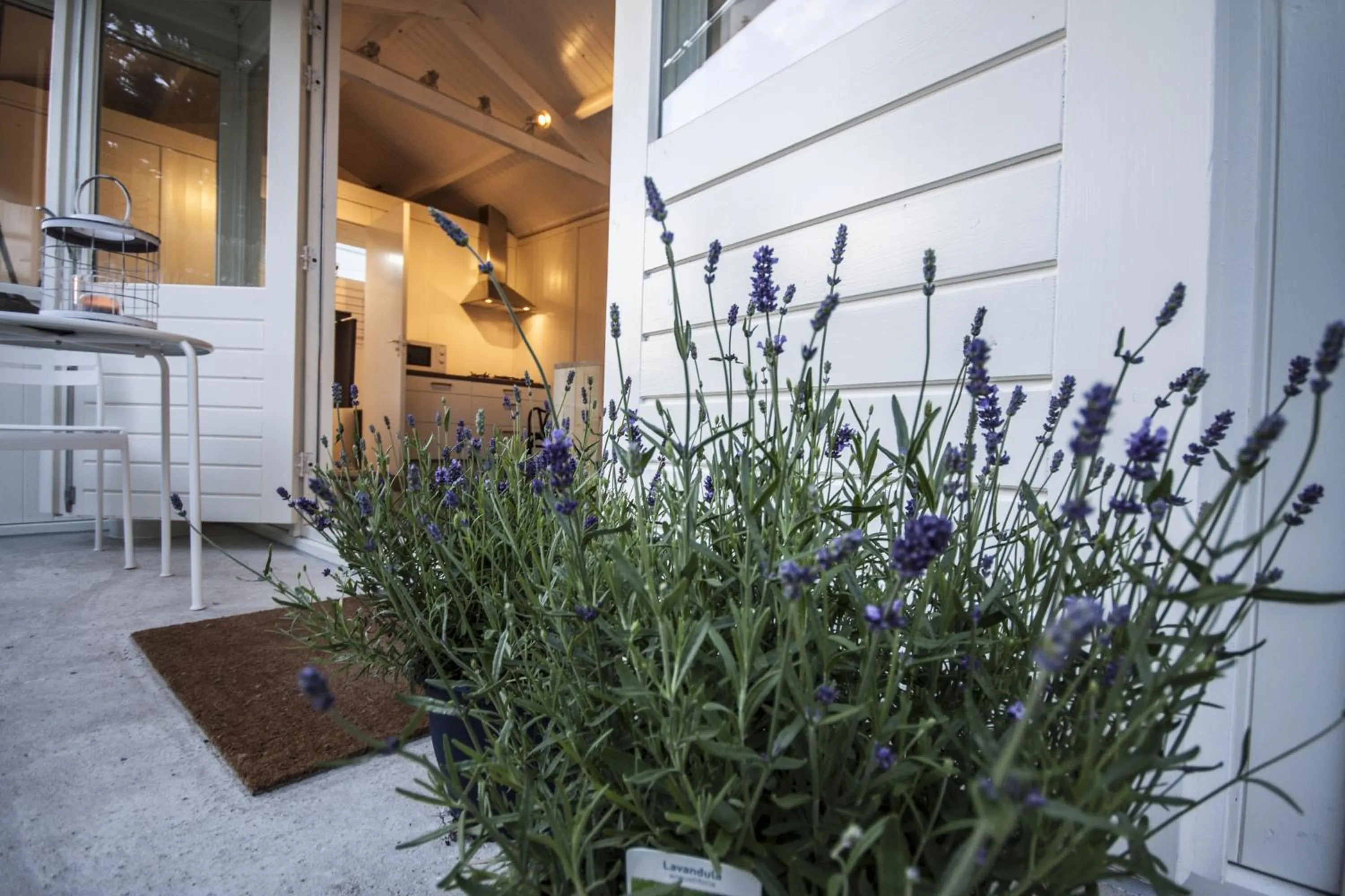 Tiny House Madame Jeanette nabij centrum en zee