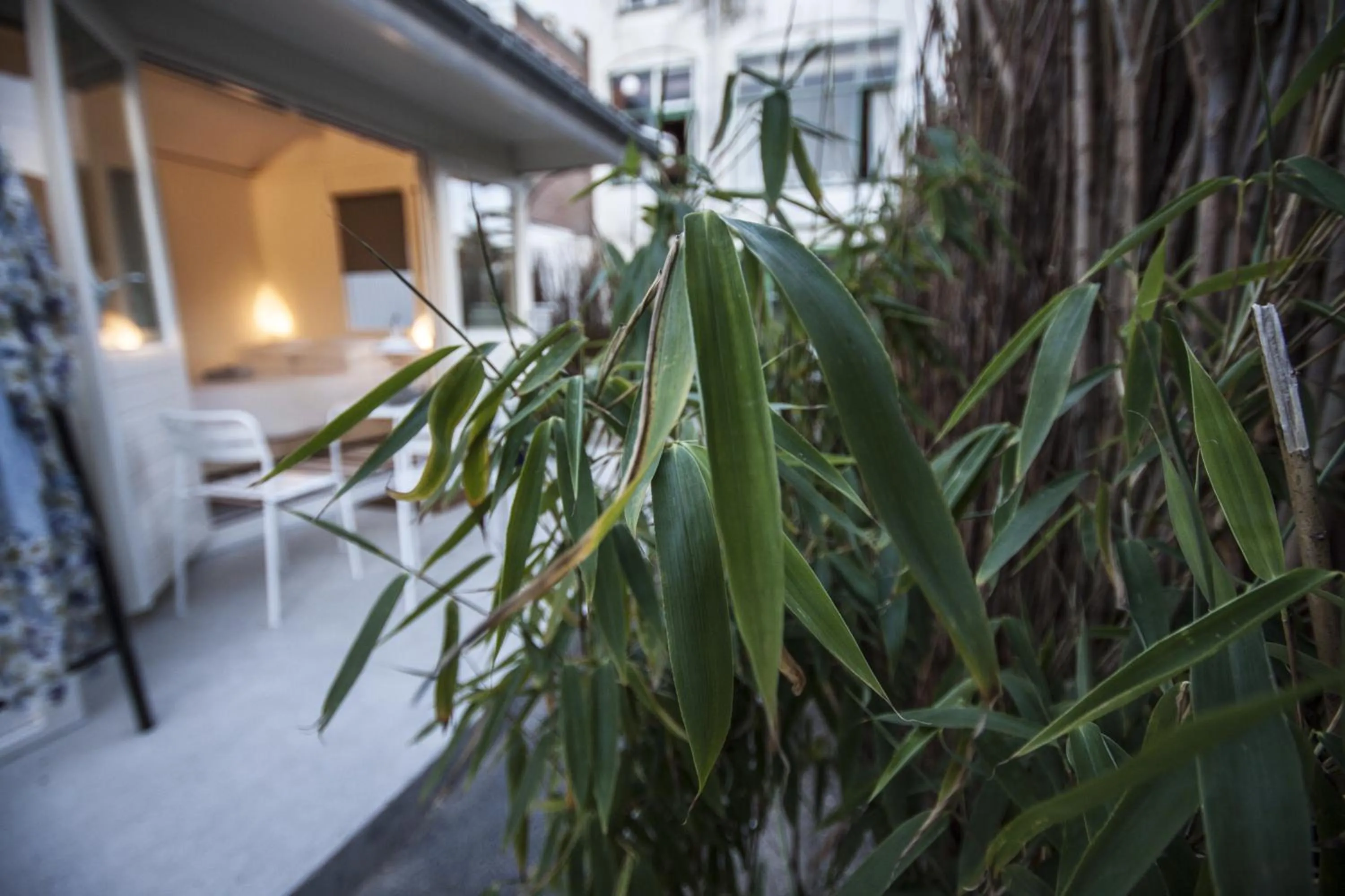 Tiny House Madame Jeanette nabij centrum en zee