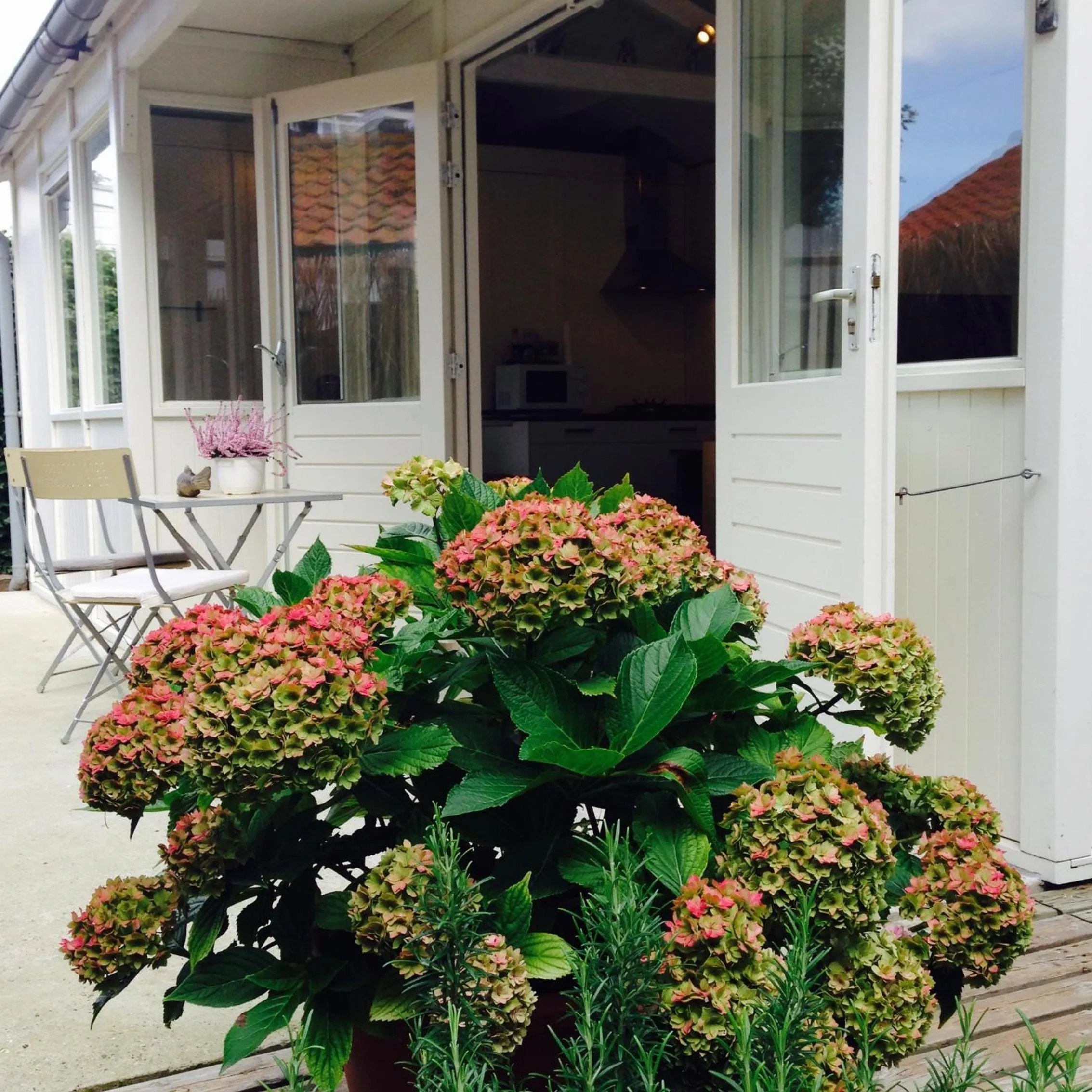 Tiny House Madame Jeanette nabij centrum en zee