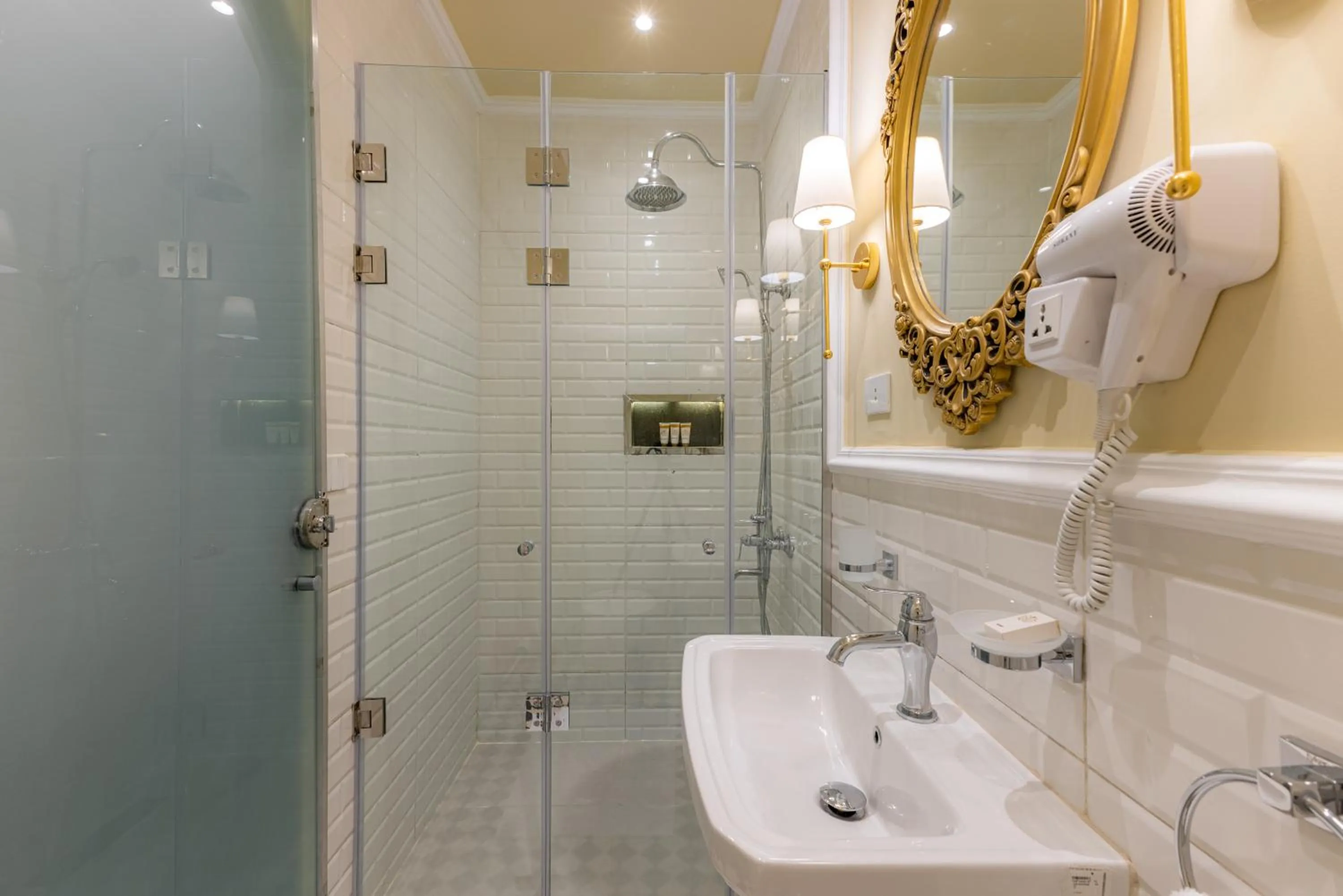 Shower in Cairo Inn The Royal