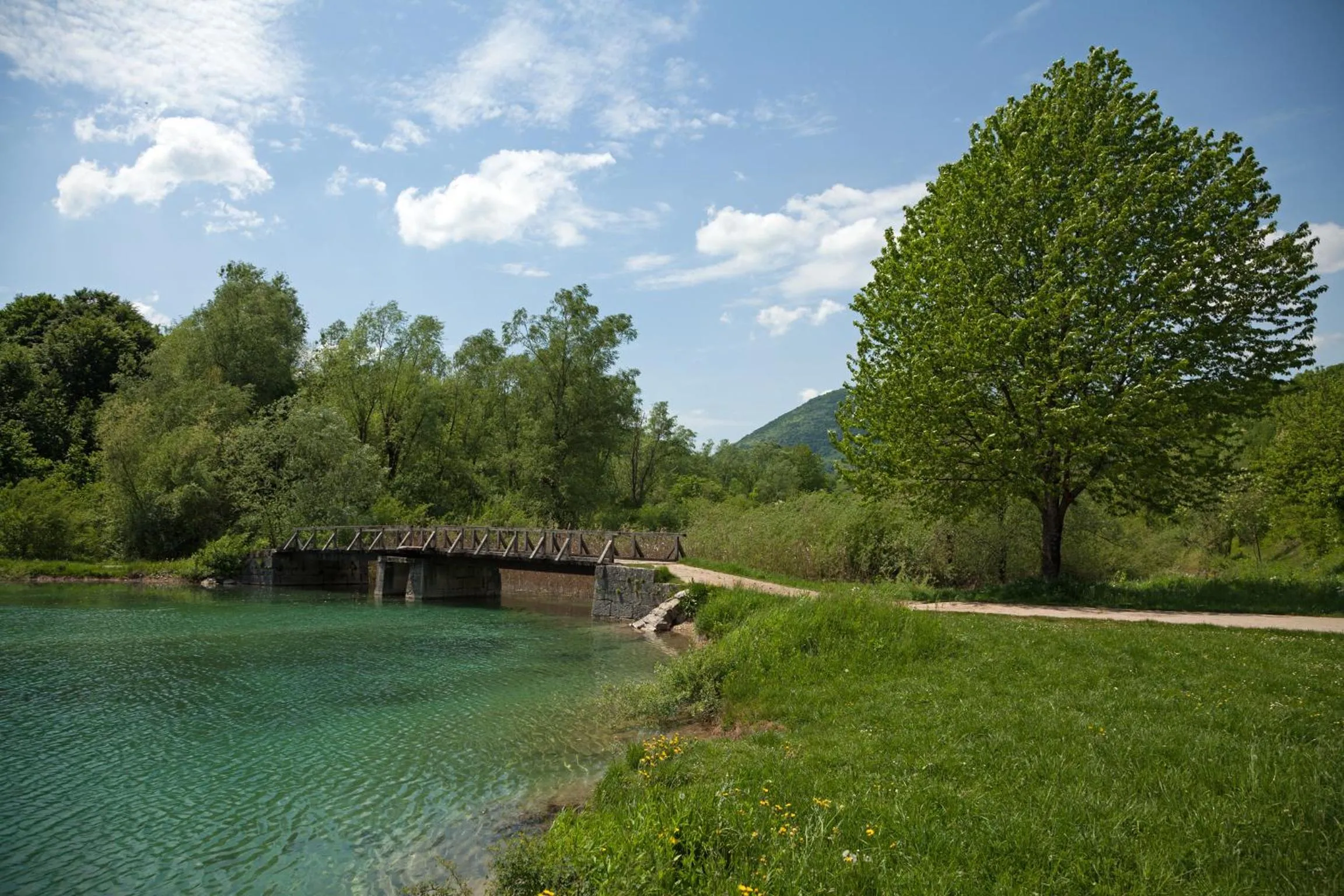 River view in Guesthouse Zafran