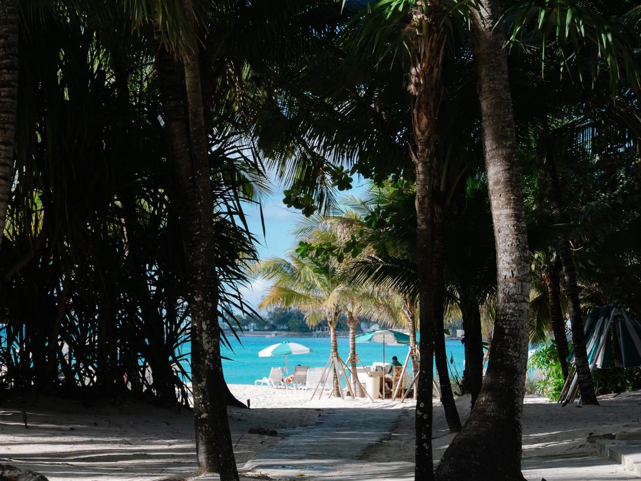 Garden in The Island House