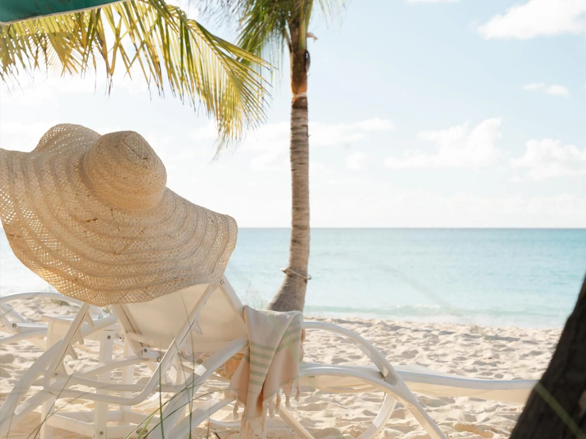 Beach in The Island House