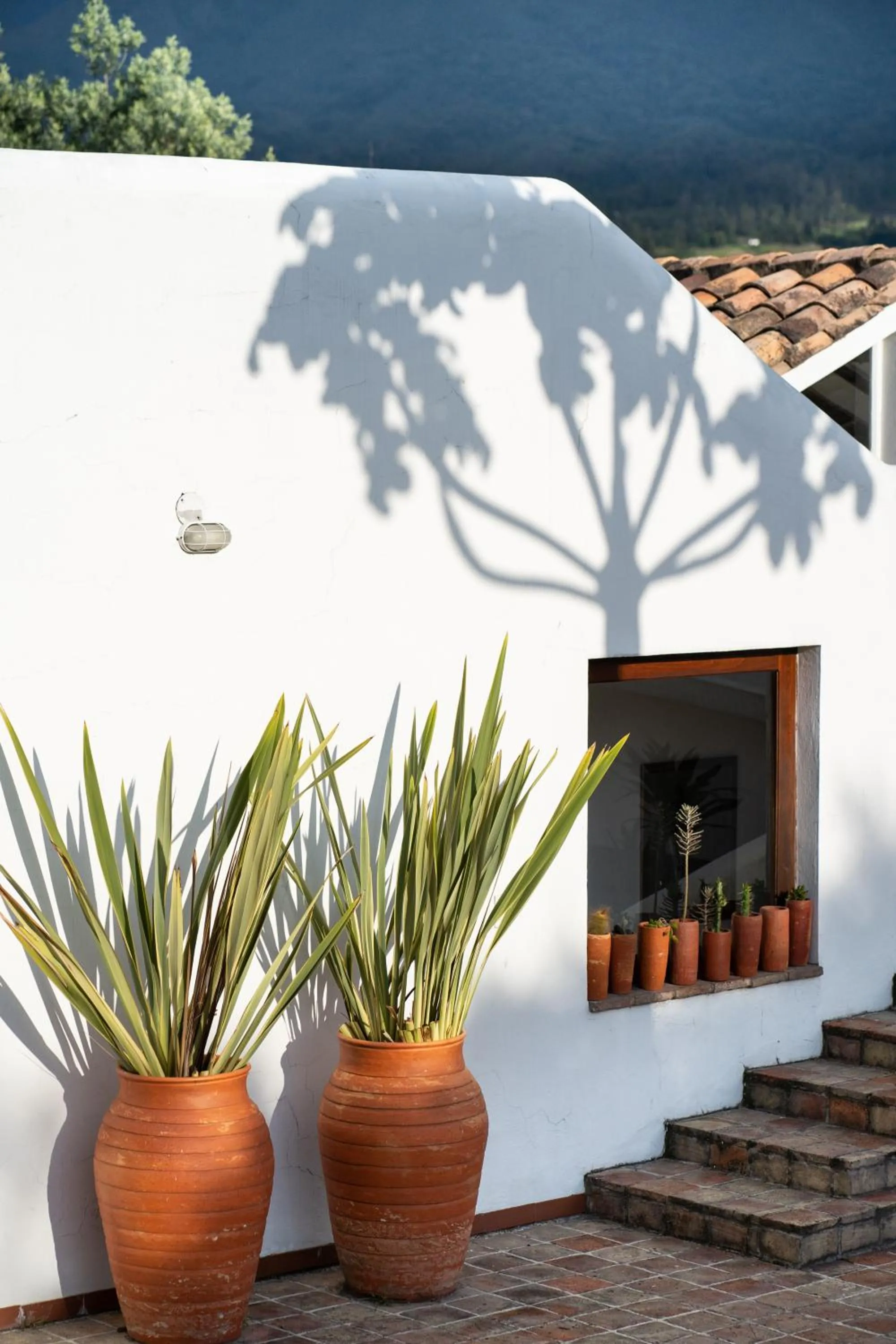 Balcony/Terrace in PASSADHI Ayurveda & Yoga Retreat