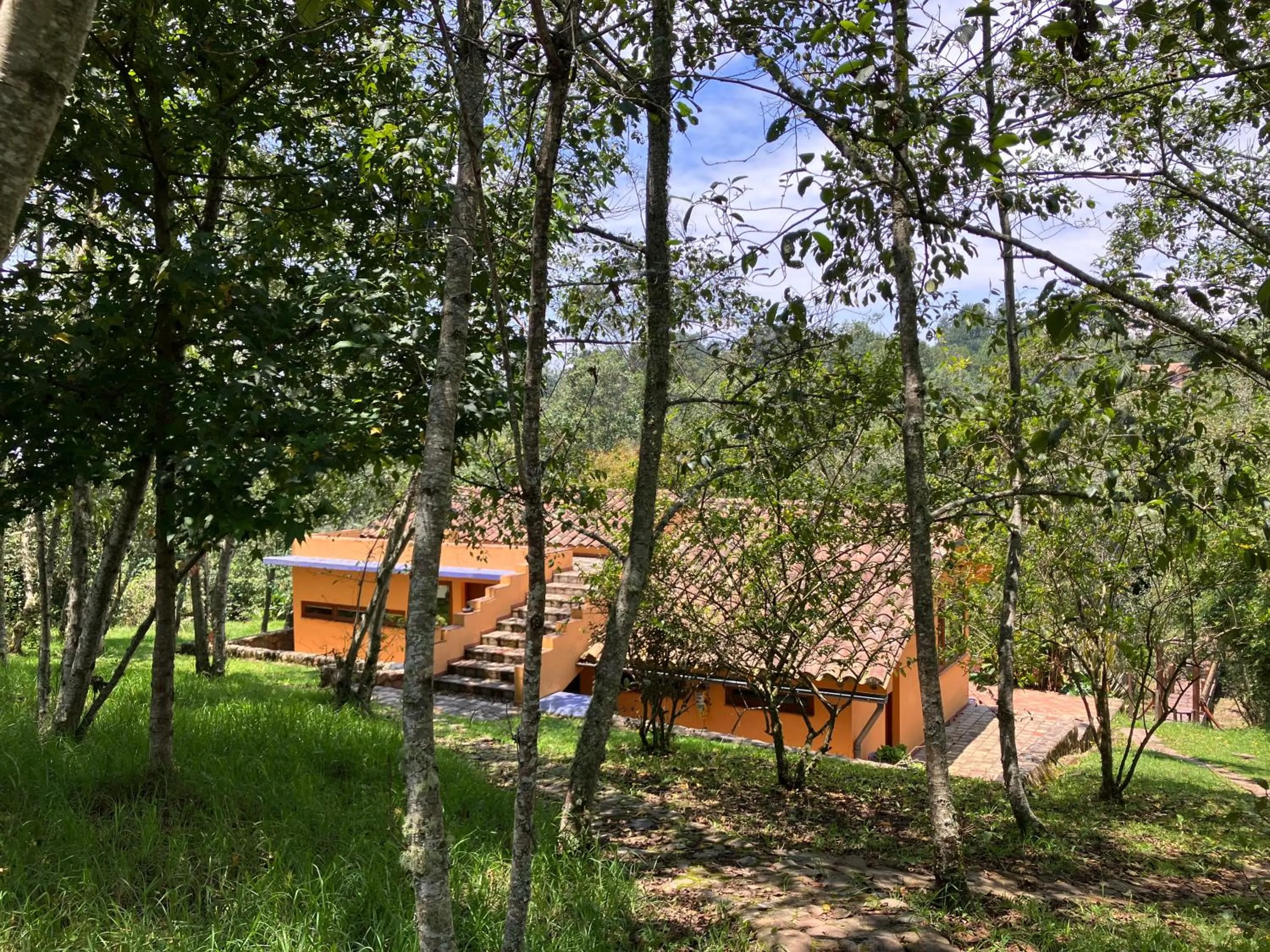 Property building in PASSADHI Ayurveda & Yoga Retreat