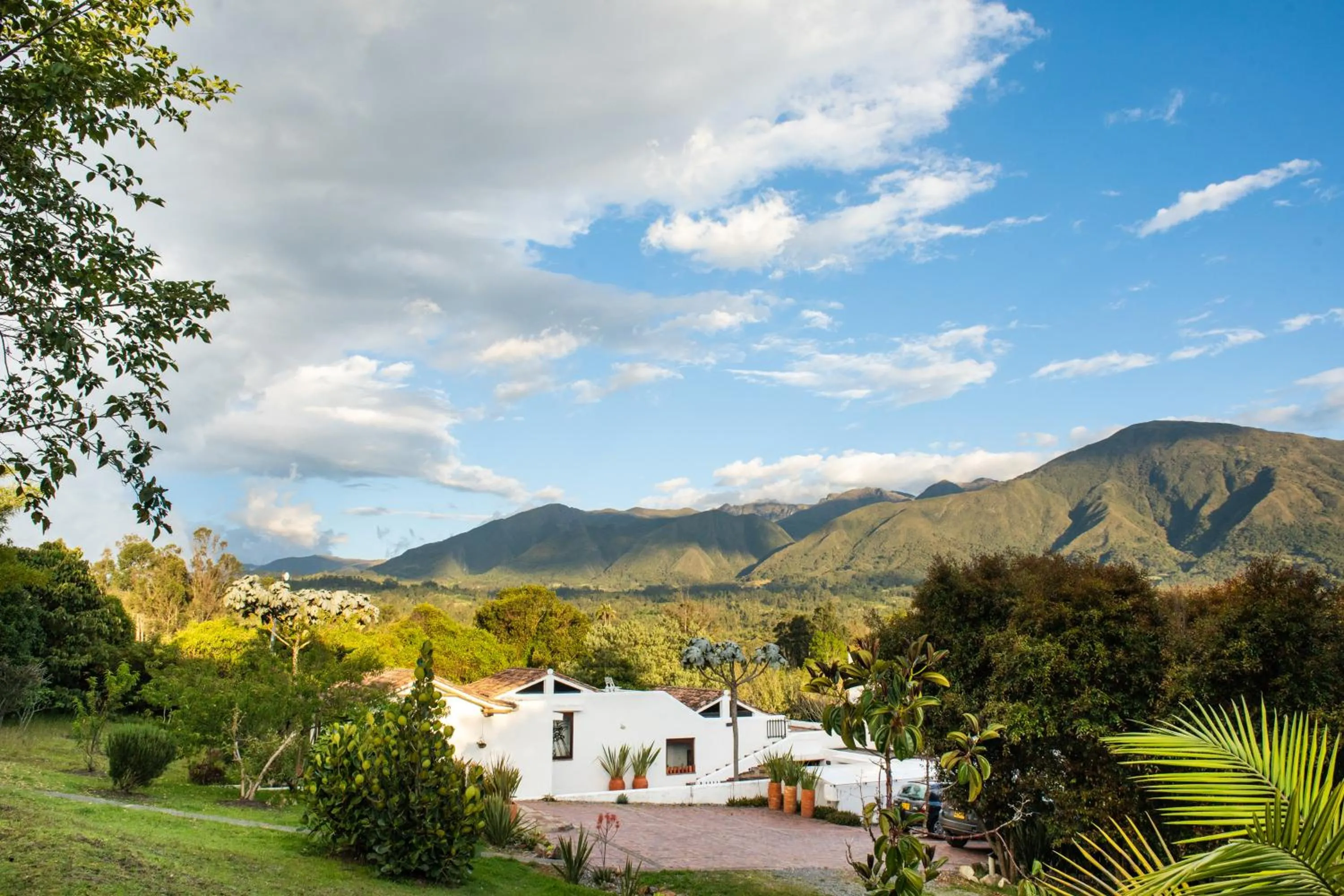 Property building in PASSADHI Ayurveda & Yoga Retreat