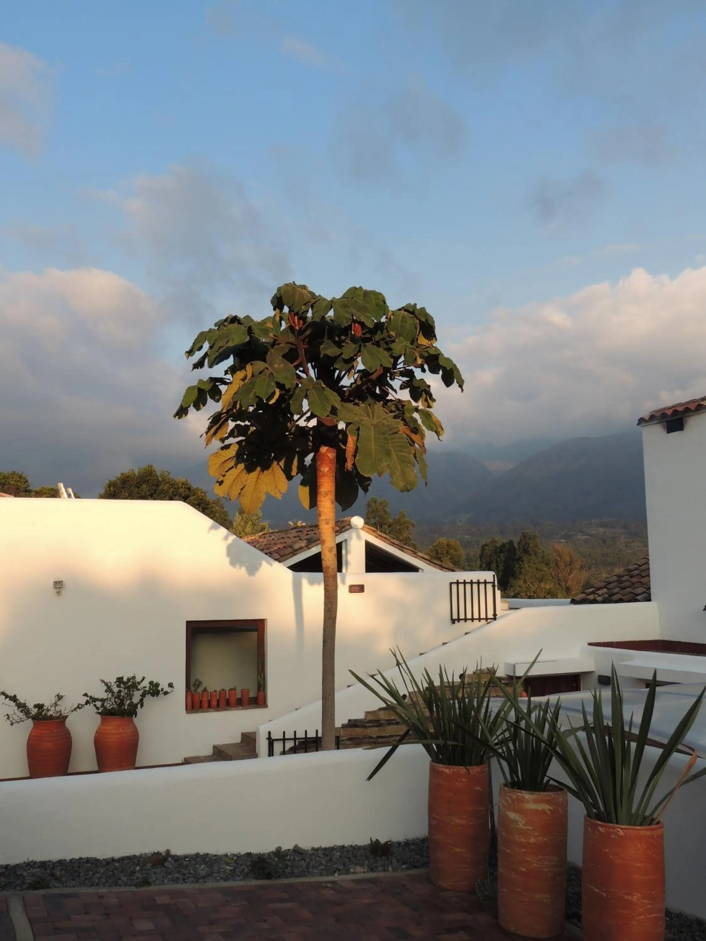 Facade/entrance in PASSADHI Ayurveda & Yoga Retreat