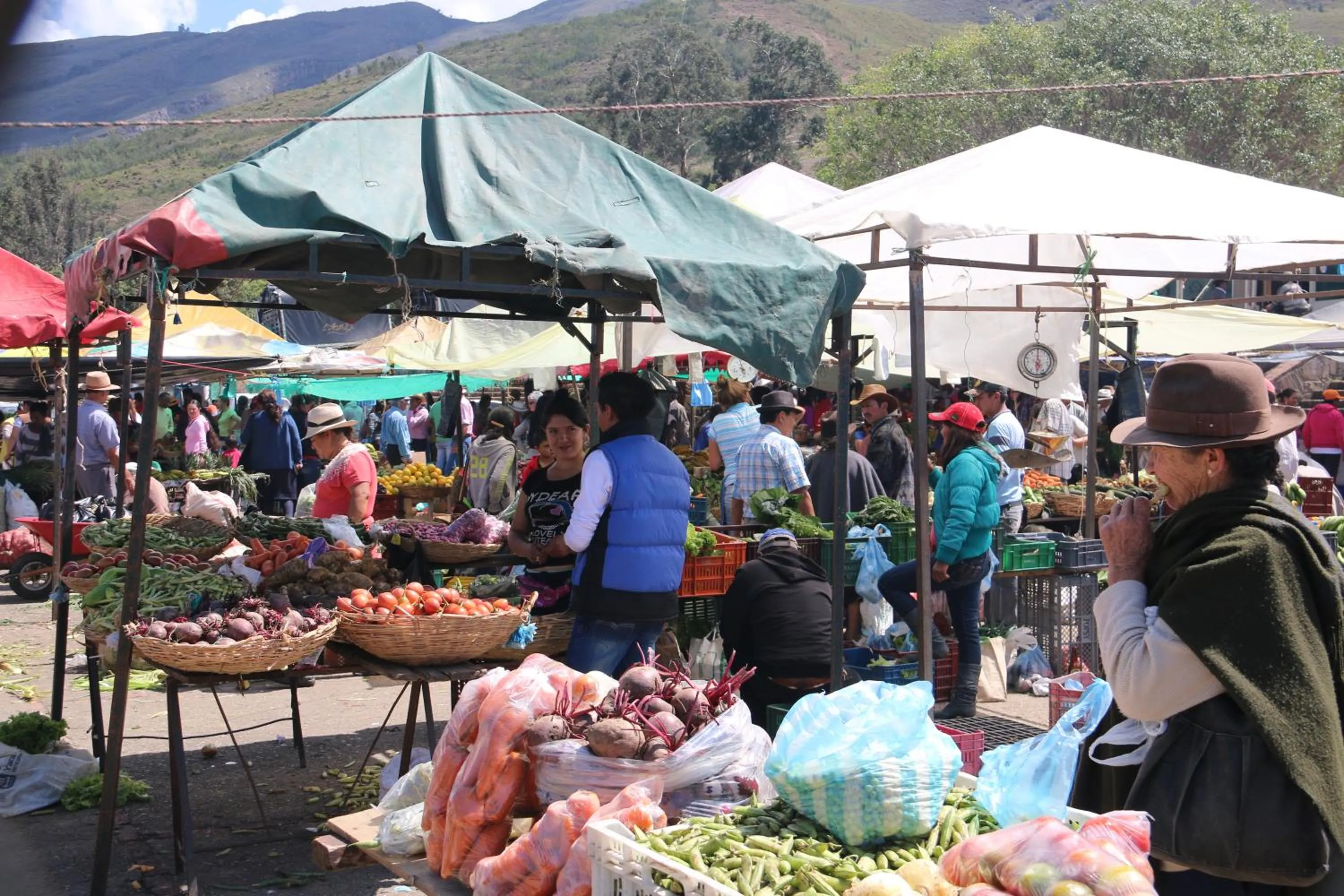 Supermarket/grocery shop in PASSADHI Ayurveda & Yoga Retreat
