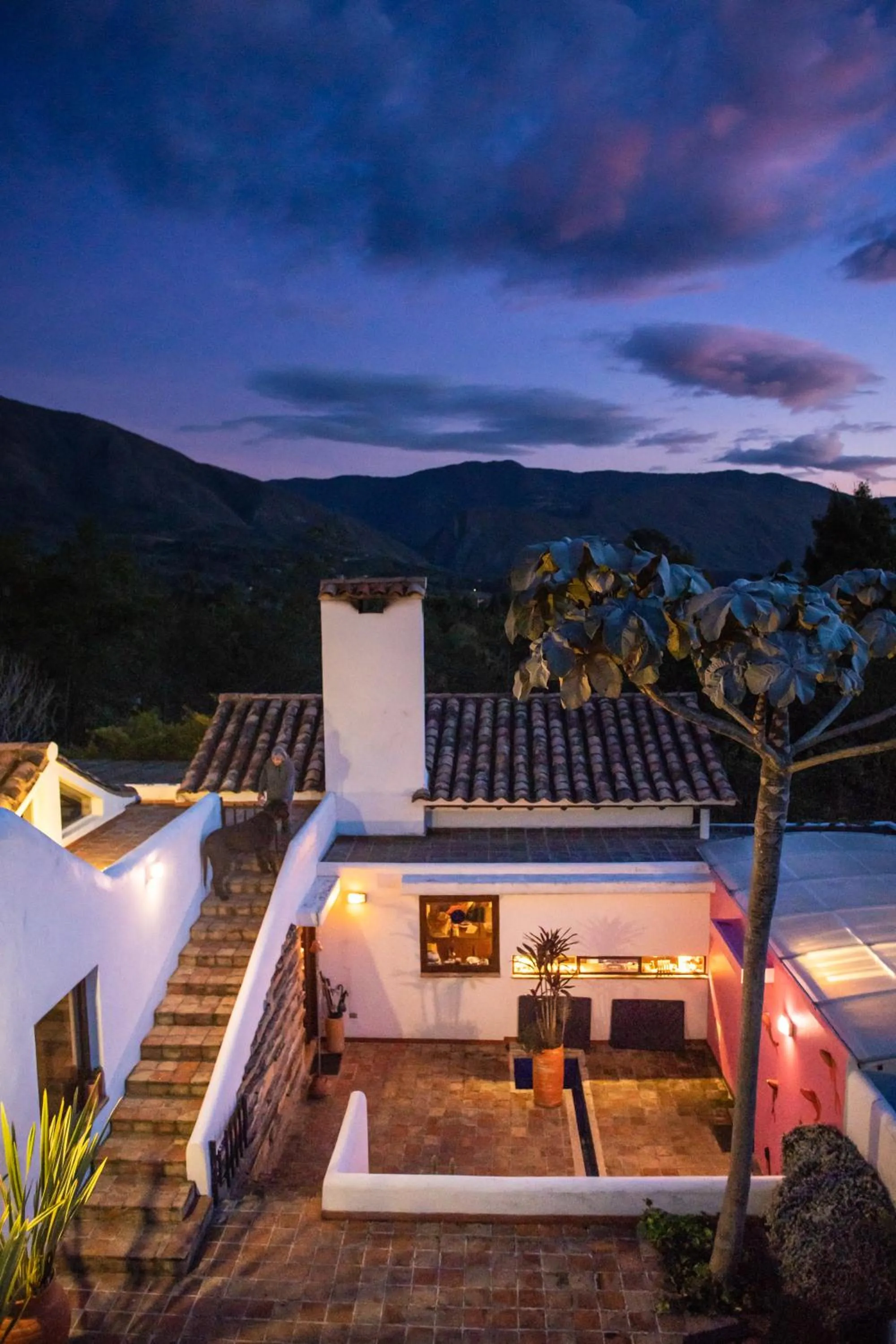 Property building in PASSADHI Ayurveda & Yoga Retreat