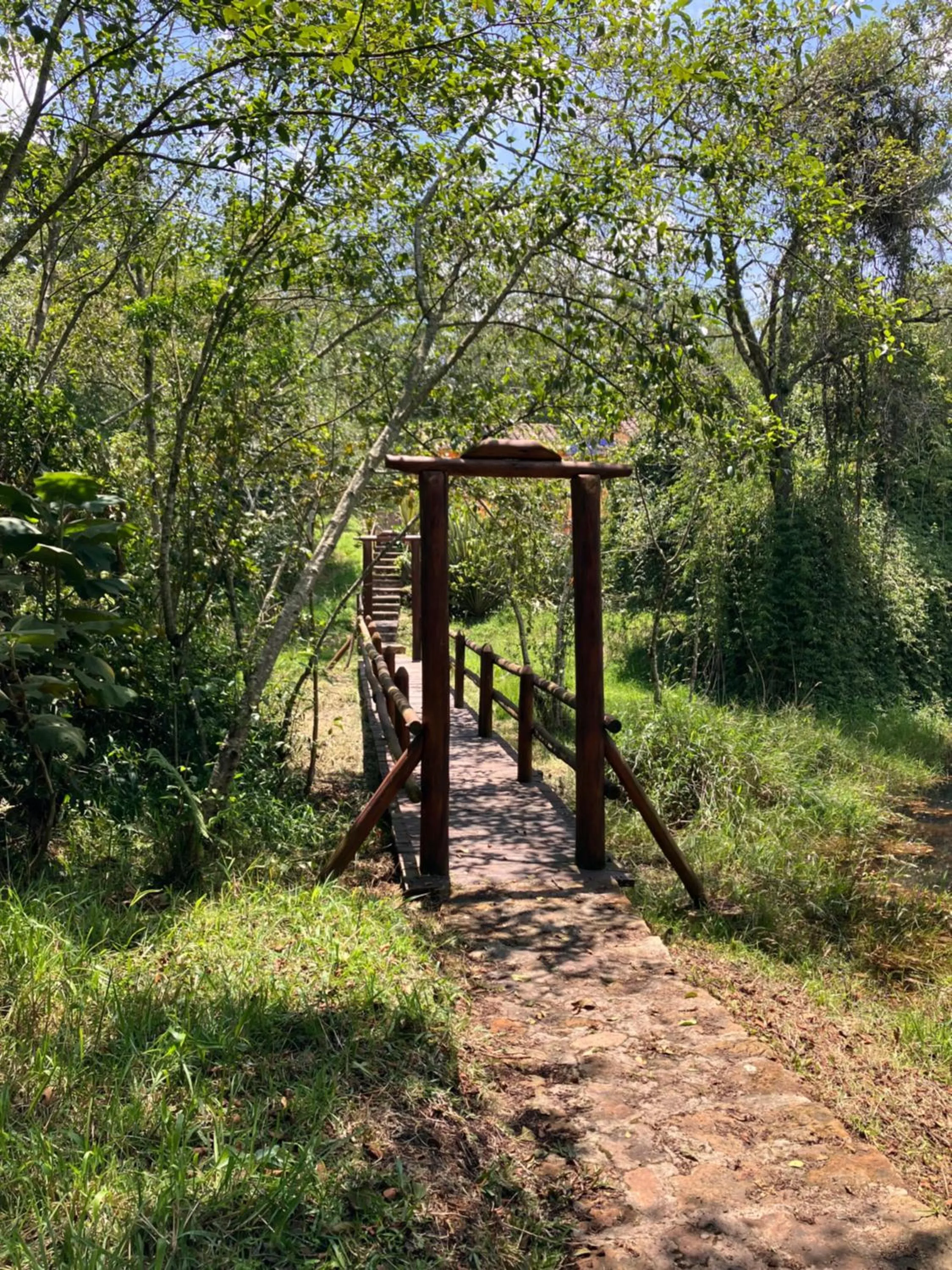 Natural landscape in PASSADHI Ayurveda & Yoga Retreat
