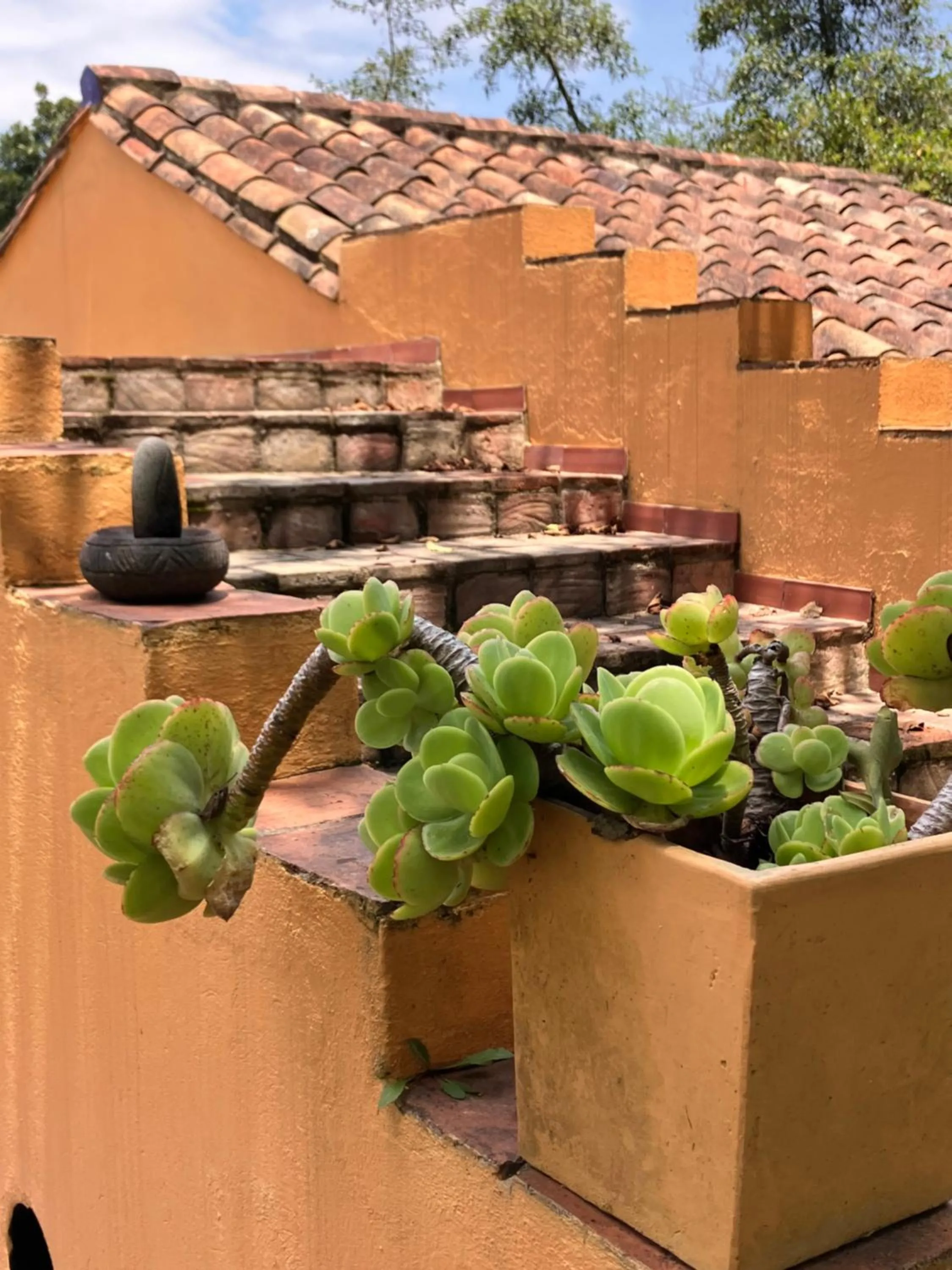 Balcony/Terrace in PASSADHI Ayurveda & Yoga Retreat