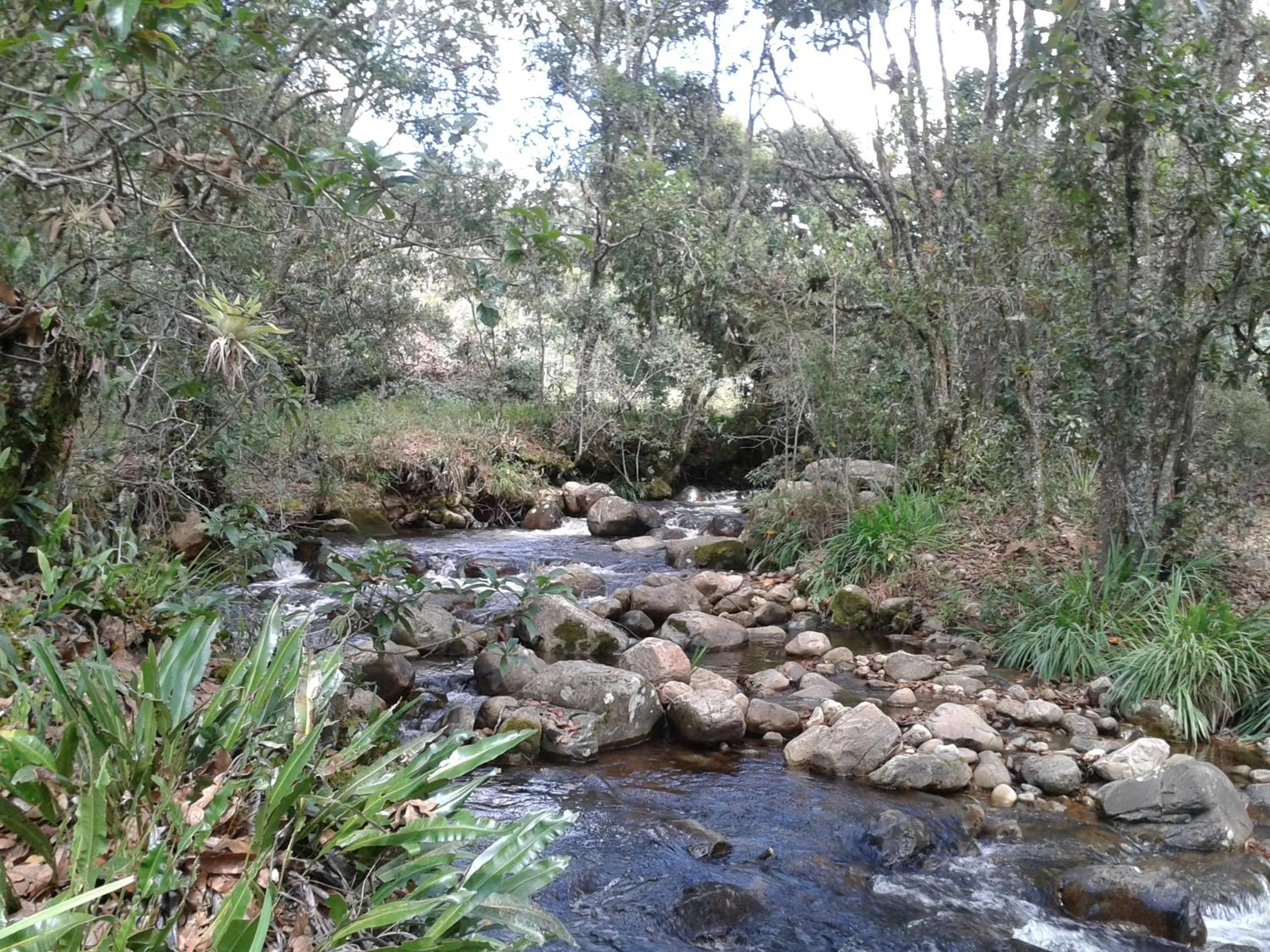 Natural landscape in PASSADHI Ayurveda & Yoga Retreat