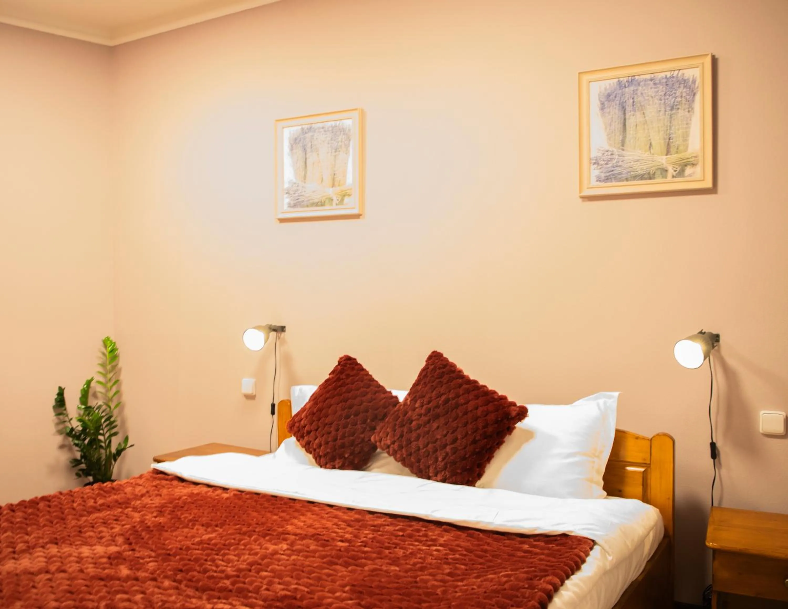 Bed in Hotel Zátkův dům