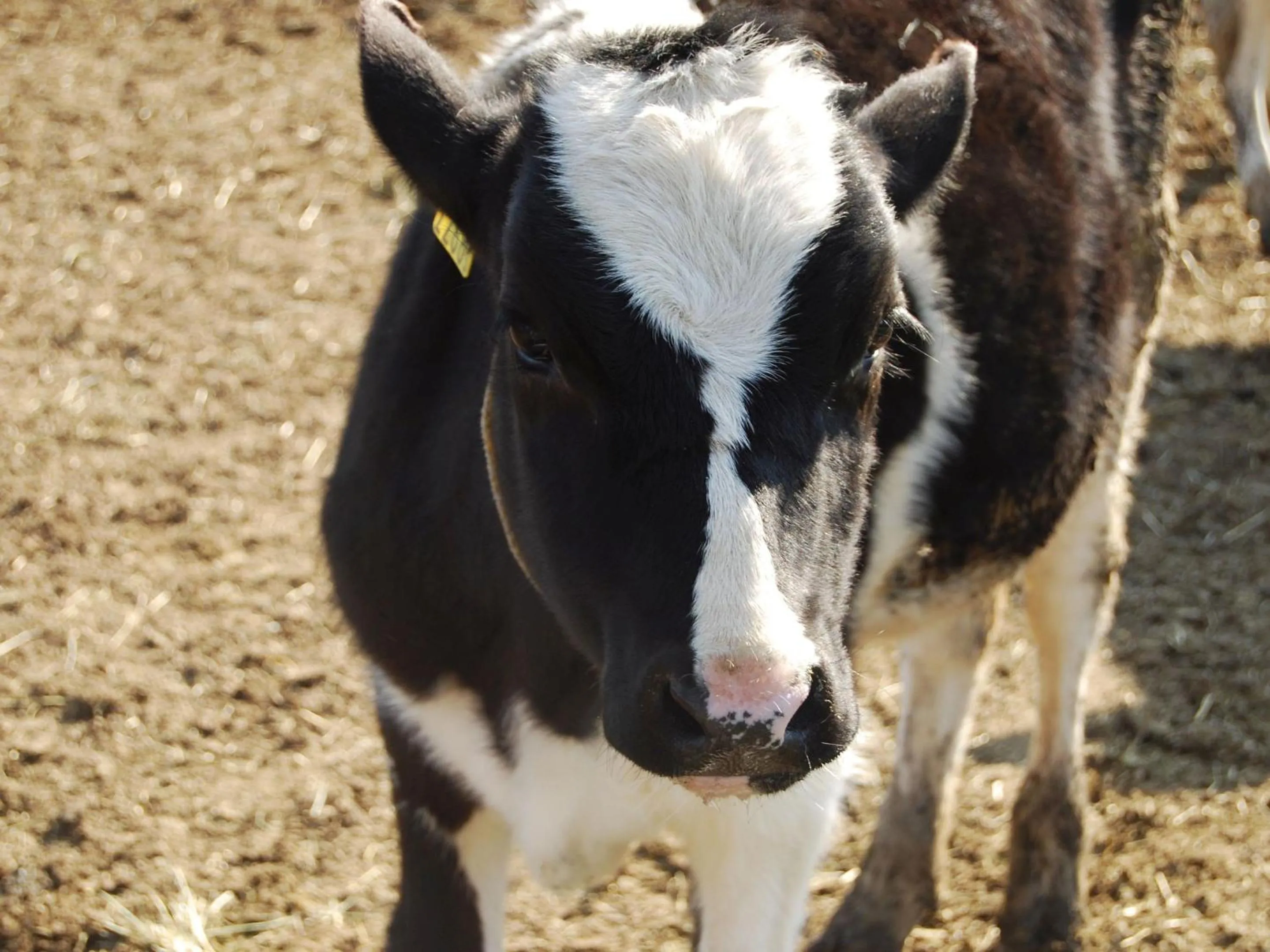Nearby landmark in Hotel Wing International Sukagawa