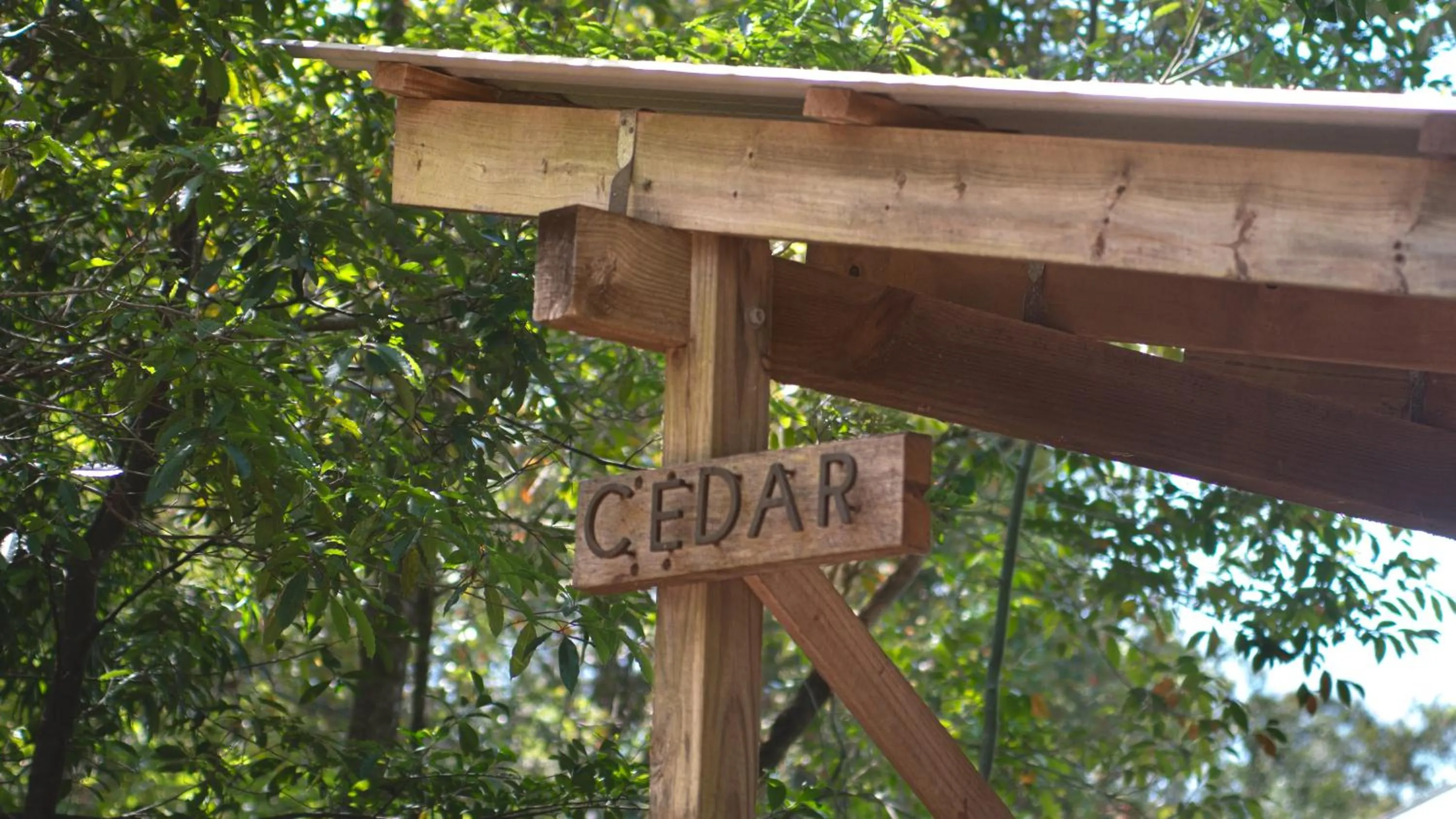 Property building in Tallaringa Views