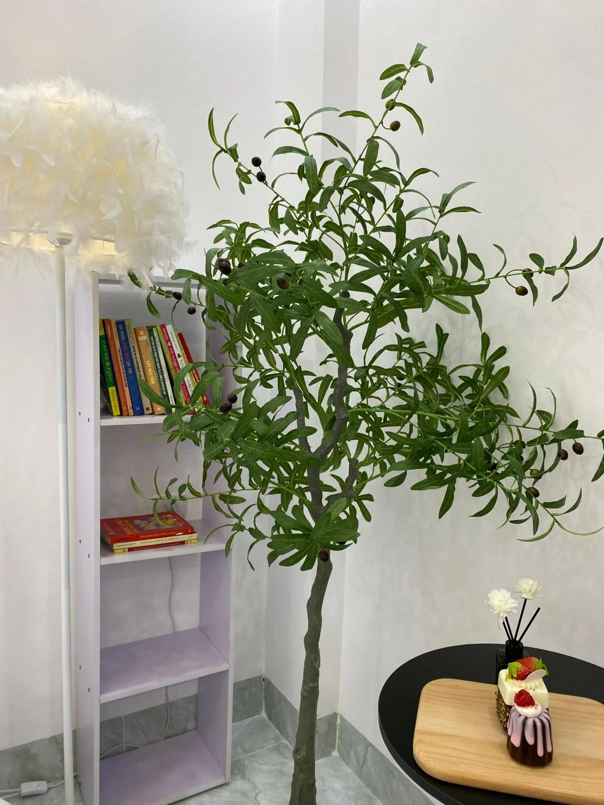 Library in Grand C Homestay